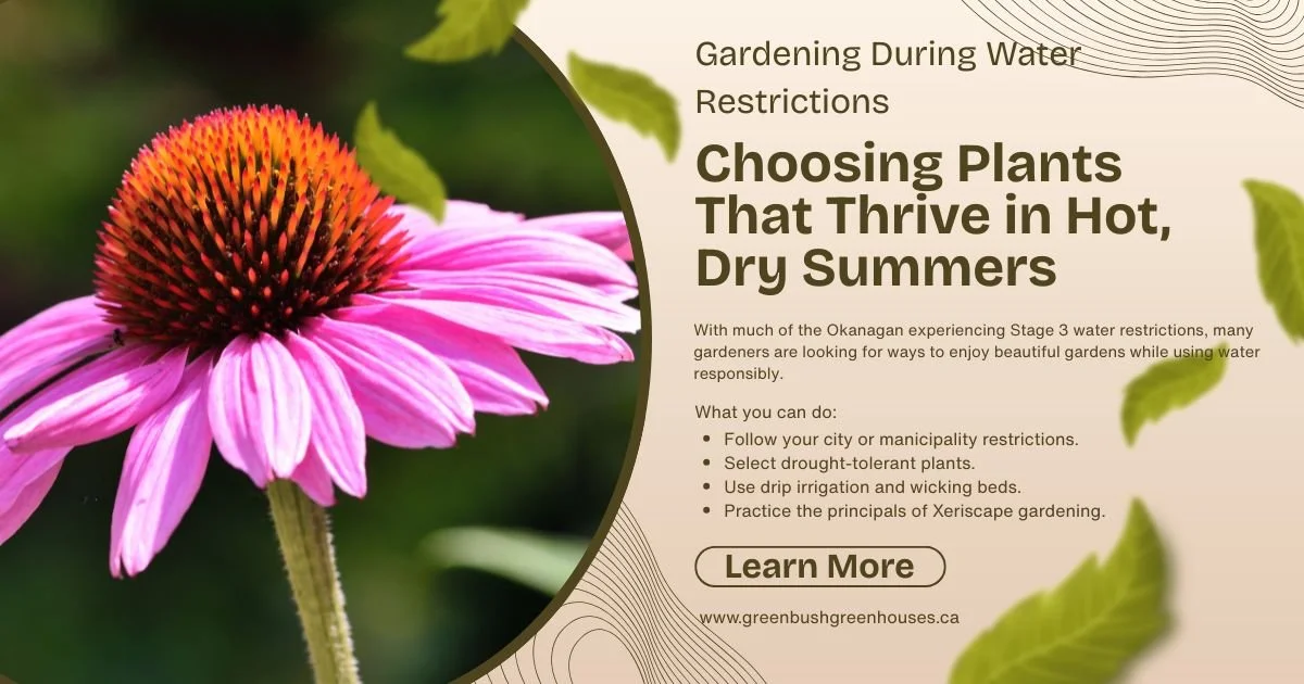 Gardening During Water Restrictions: Choosing Plants That Thrive in Hot, Dry Summers