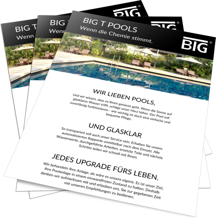Pool-Service Big T