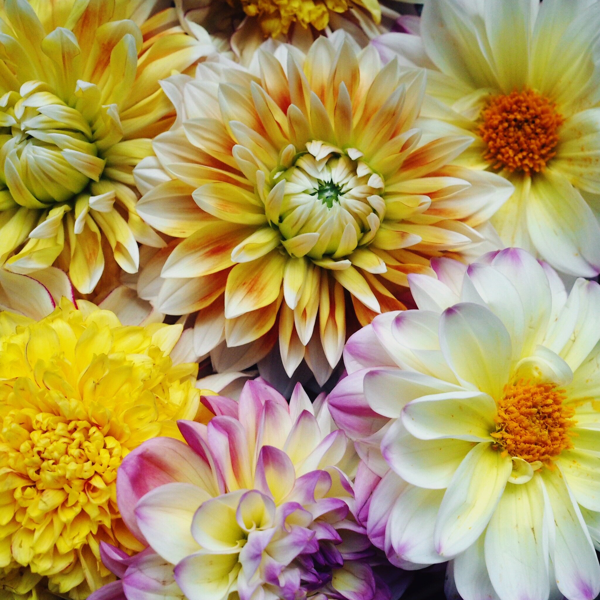 A Joyful Summer online course