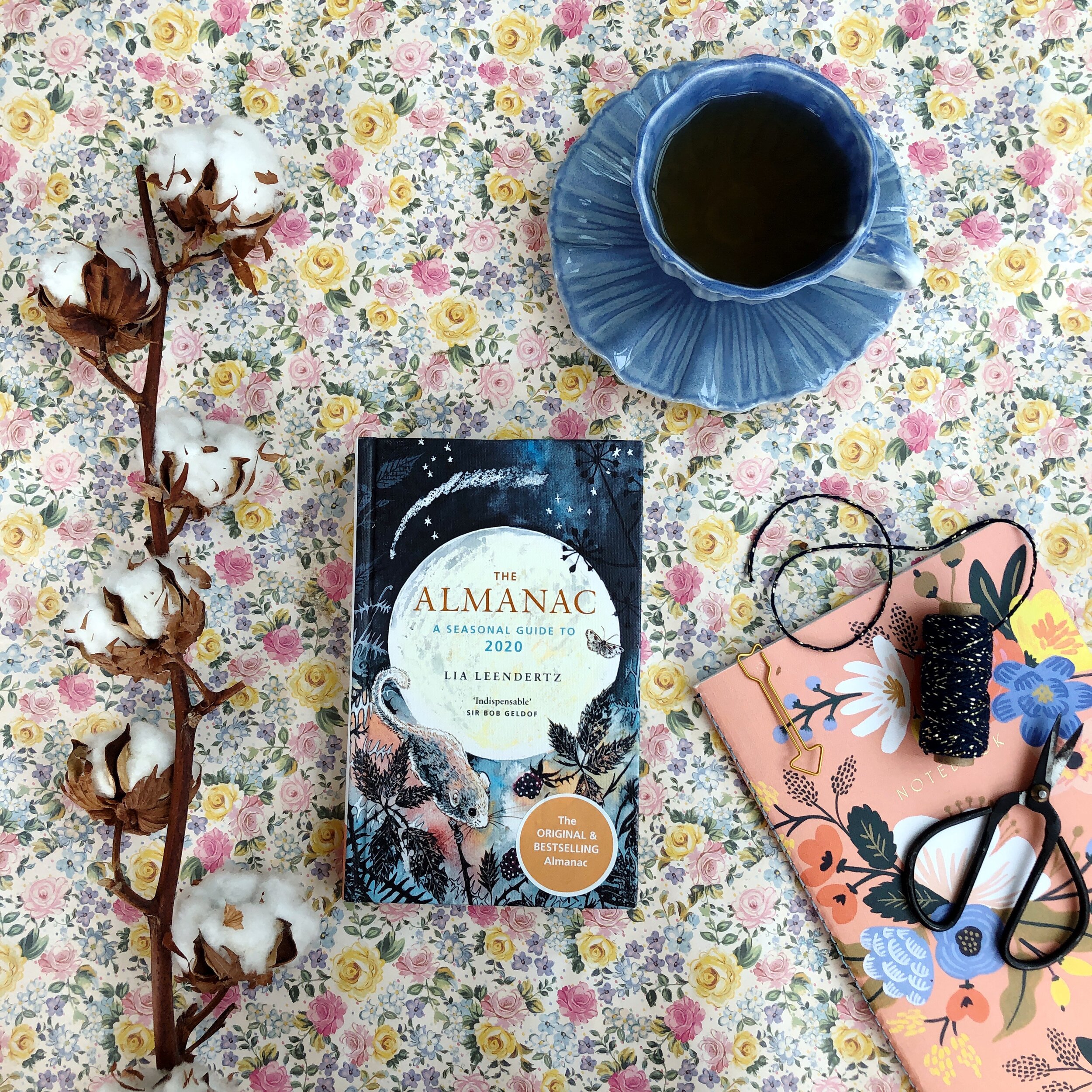 Connecting With Nature Through The Year