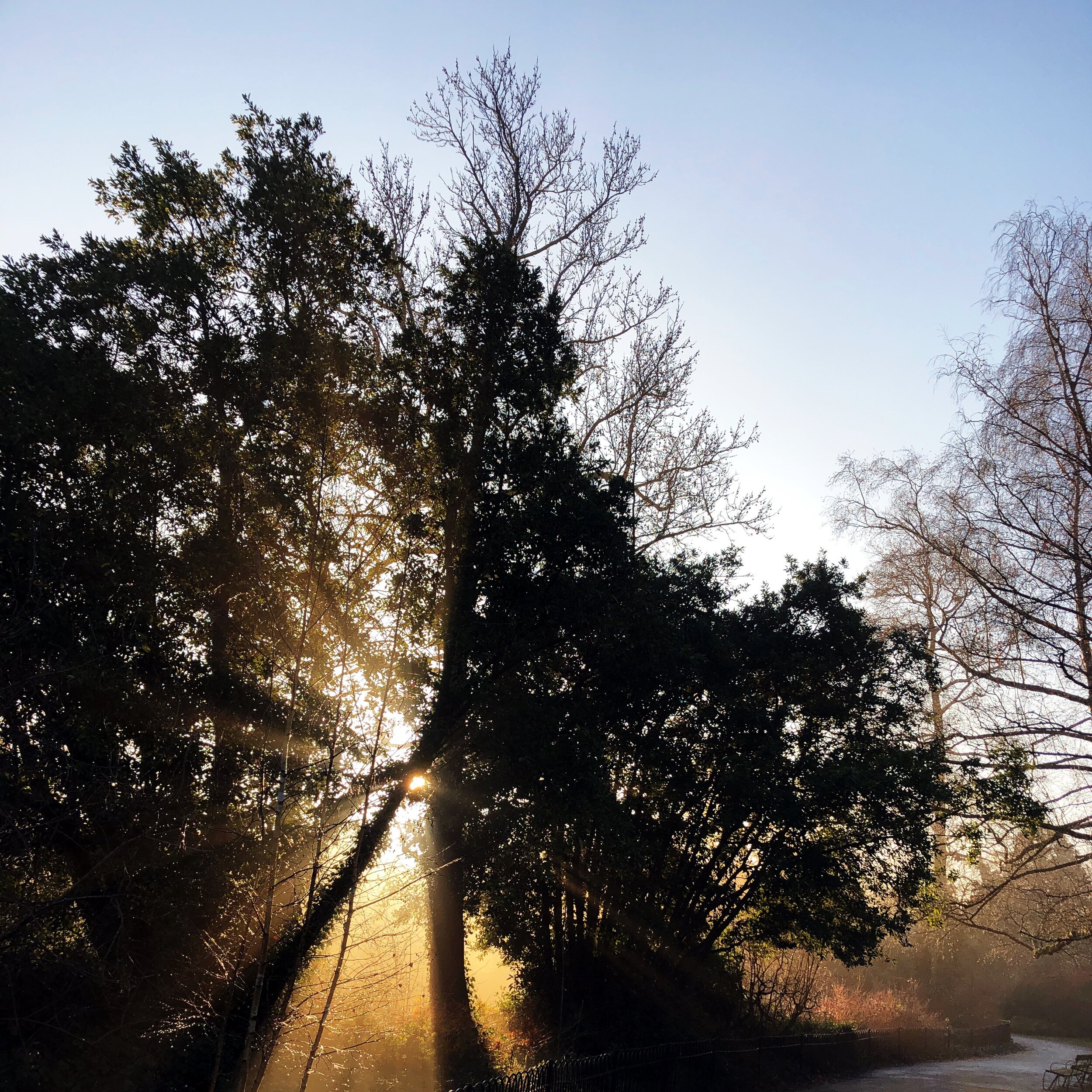Five Tips To Help You Fall In Love With January