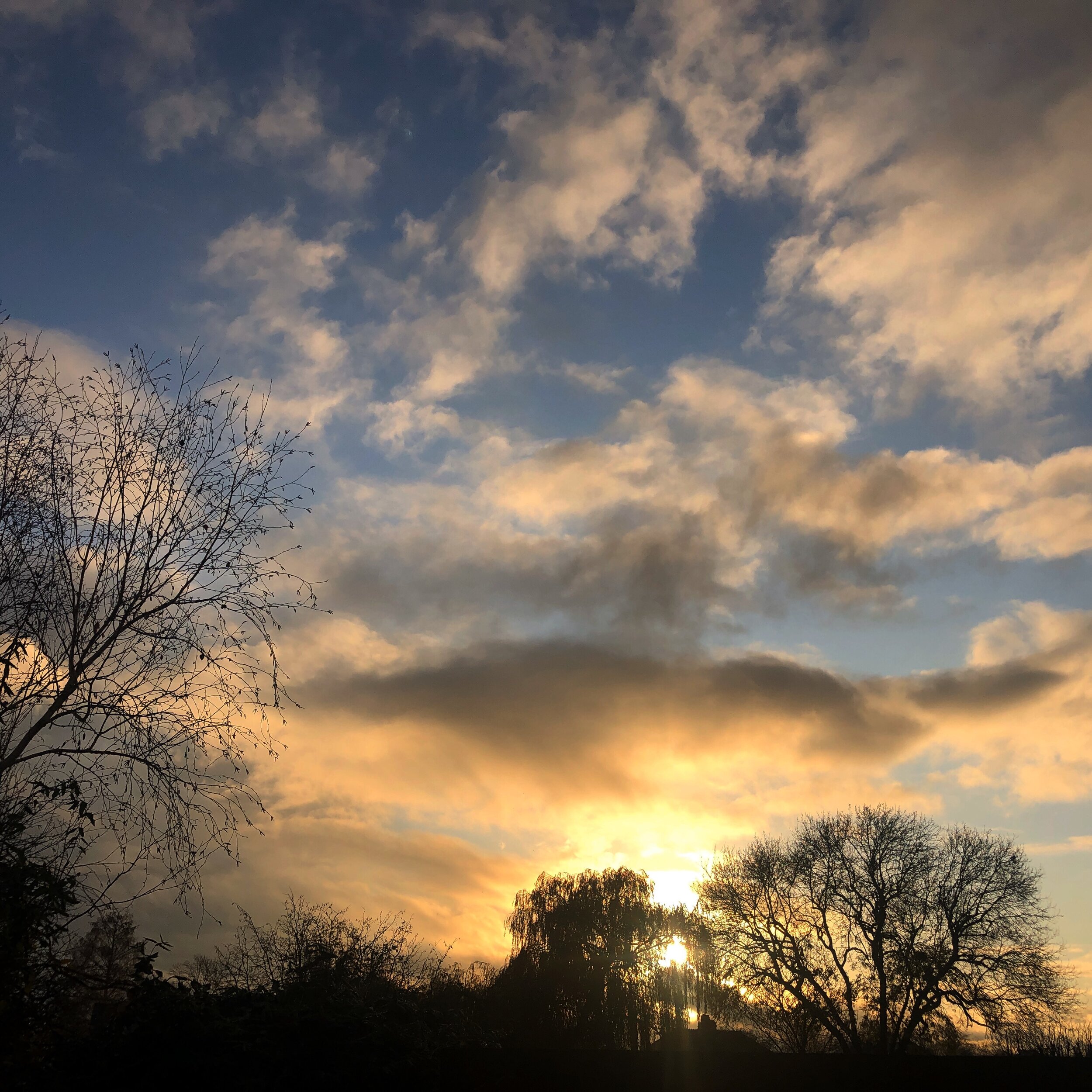 Our Year Of Environmental Changes