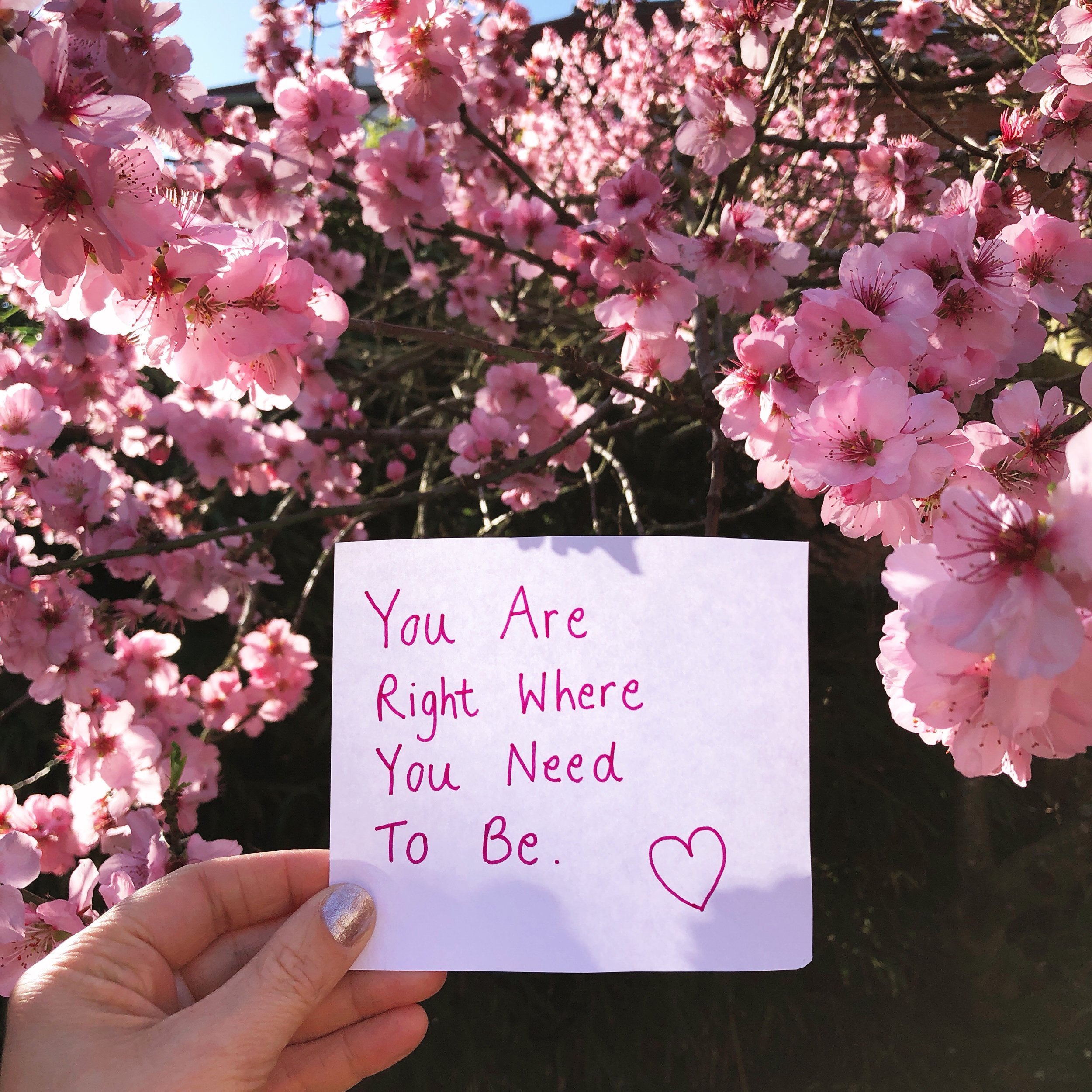 You Are Right Where You Need To Be