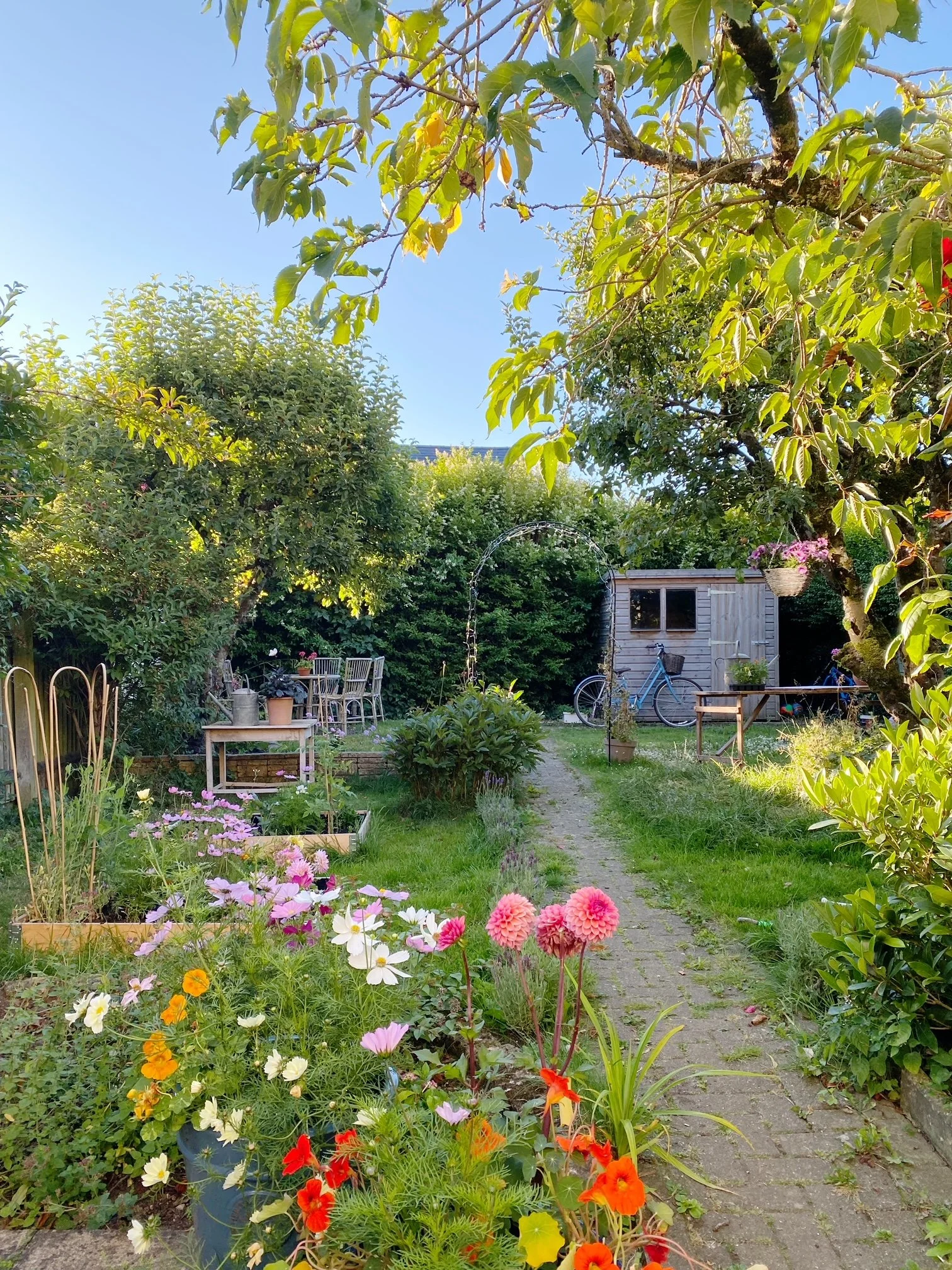 (Re) Connecting to the Flowers