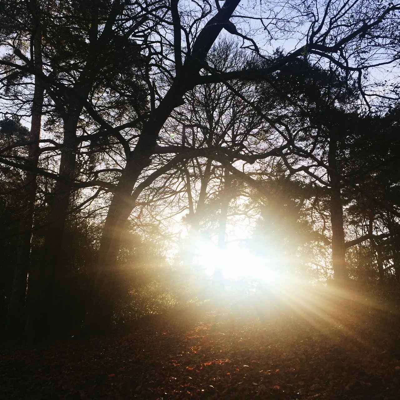 Welcome to A Nourishing Winter