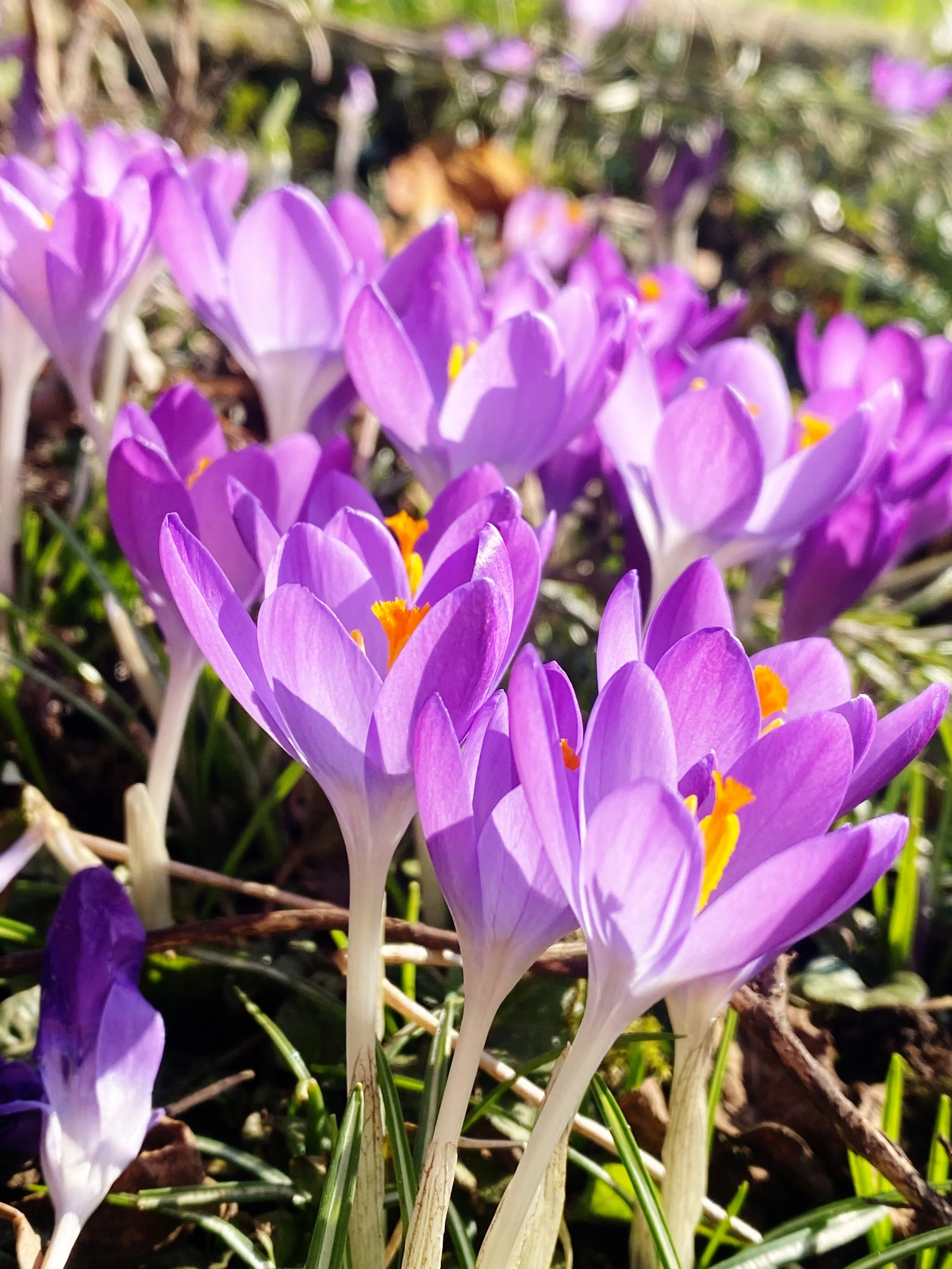 What I loved in February 