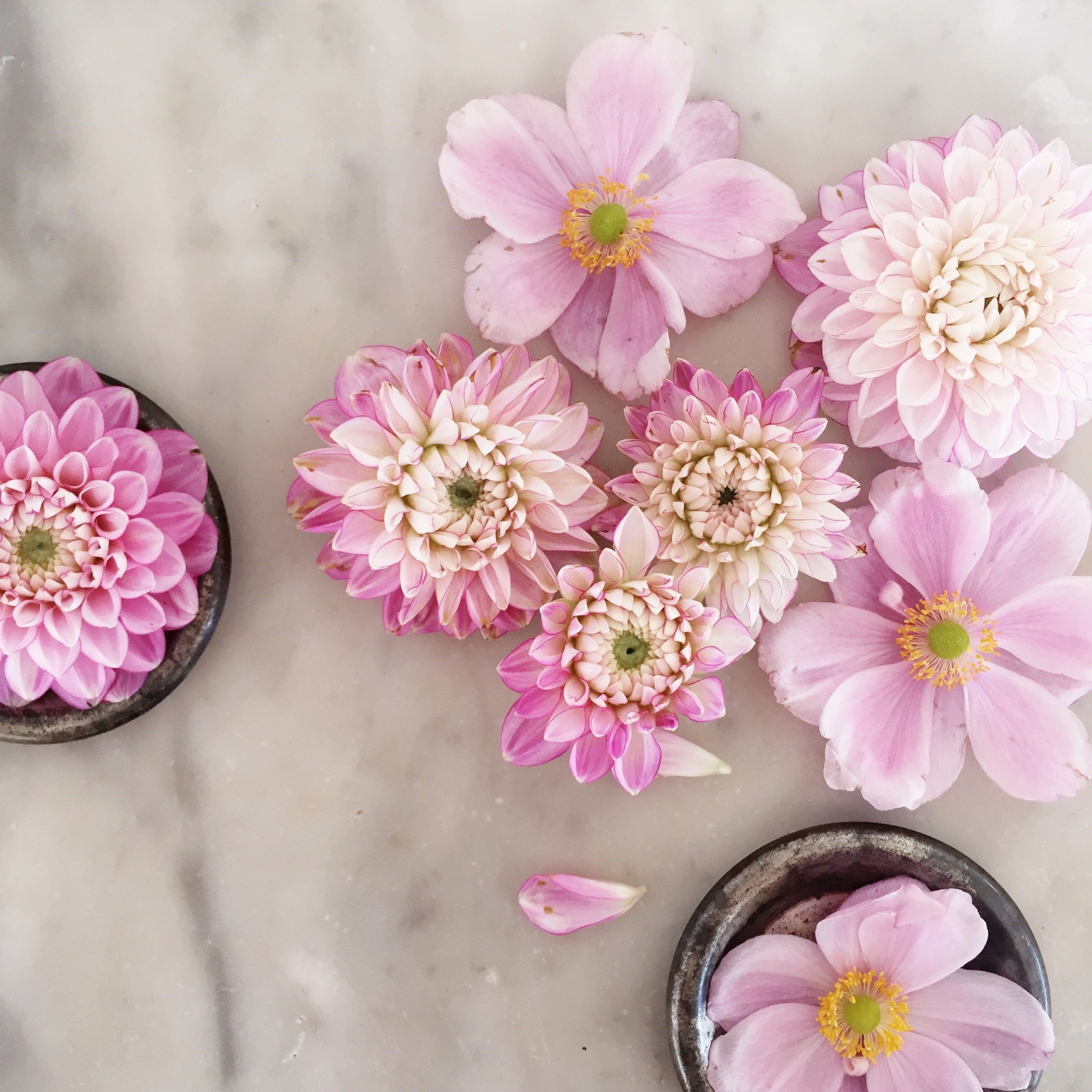 In-Person Women's Circle for mothers of neurodivergent and highly-sensitive children - 2024 Dates