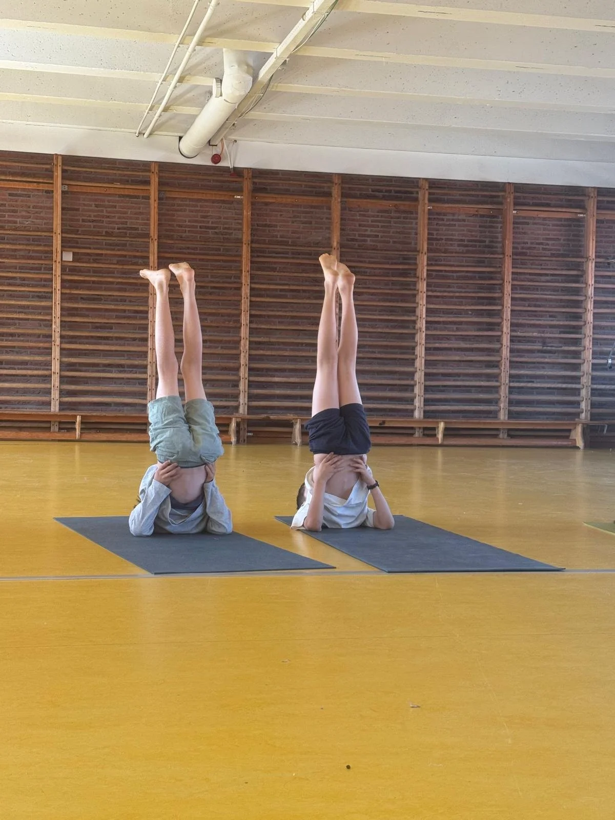 Yoga - dans kamp - VOLZET