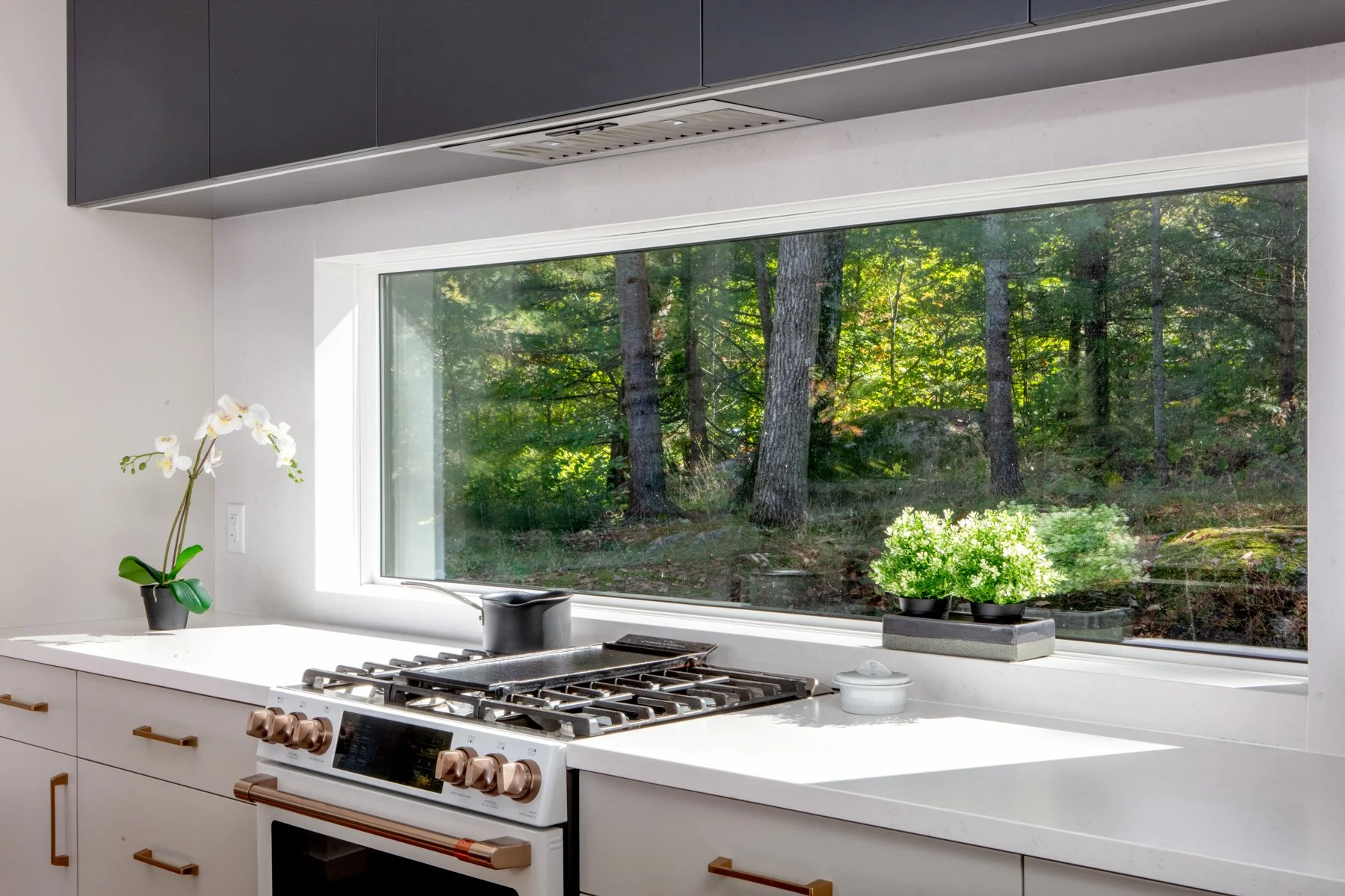 Low Resolution-6245.JPG