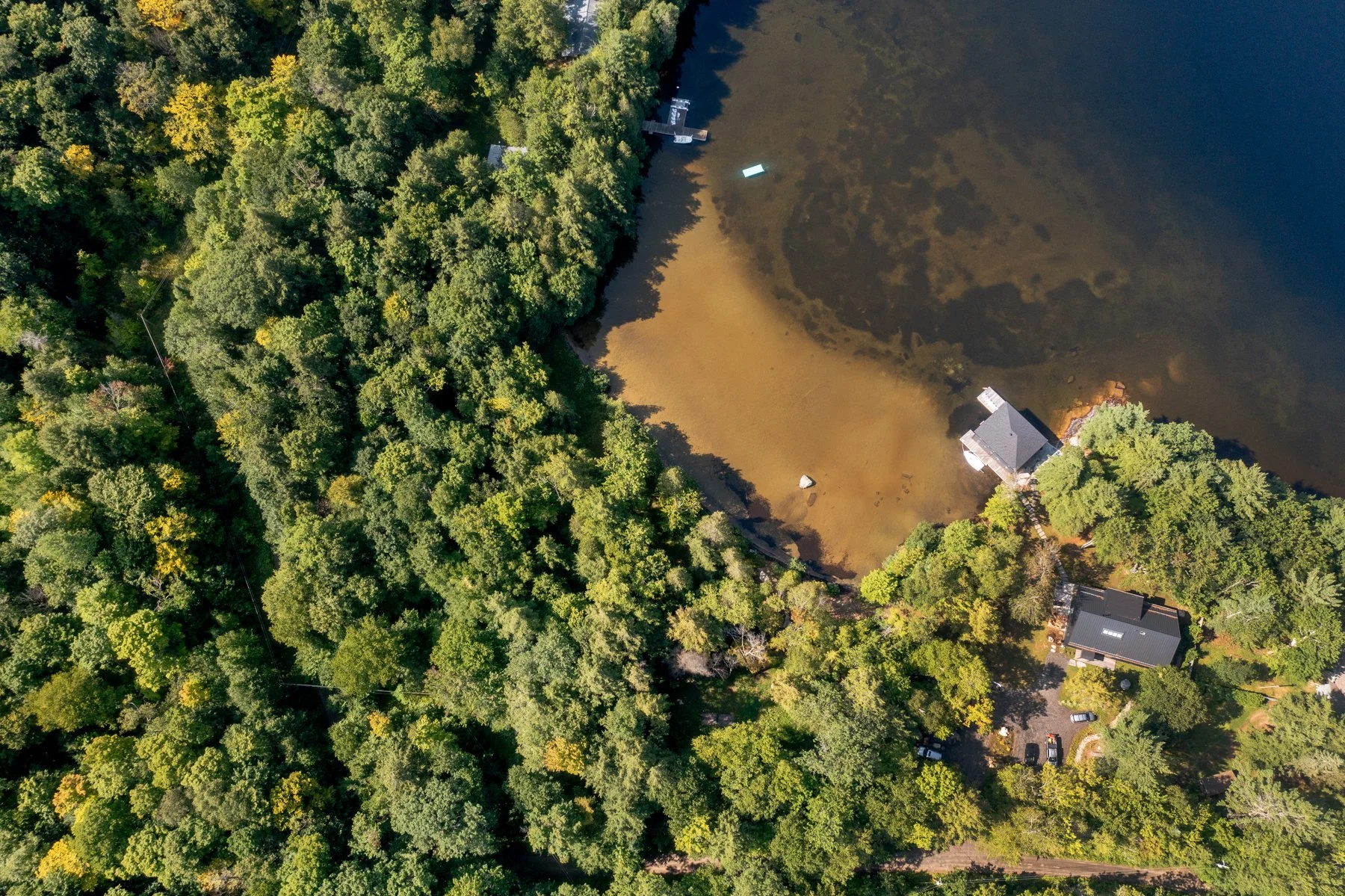 Low Resolution-0311.JPG