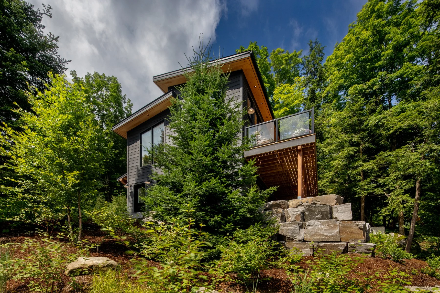 Low Resolution-5669.JPG