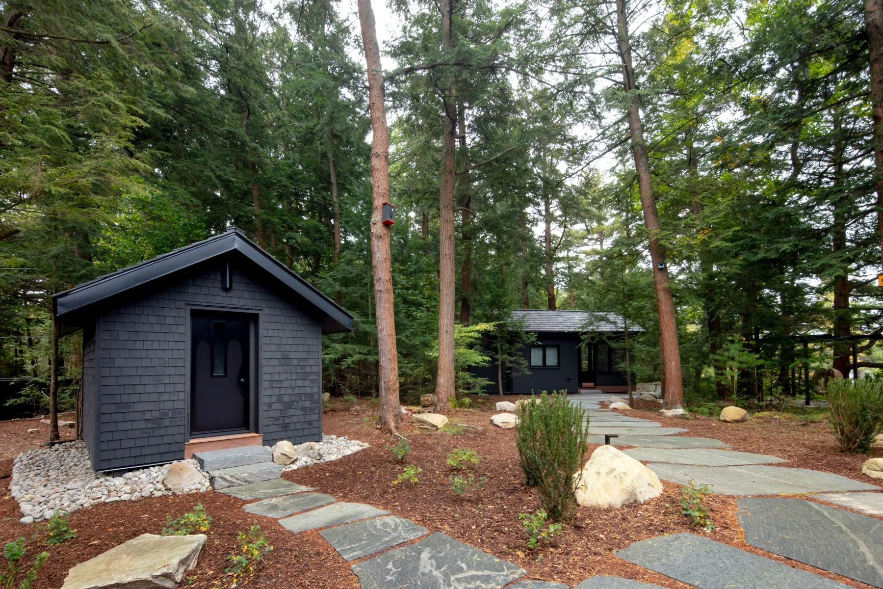 Low Resolution-7104.JPG