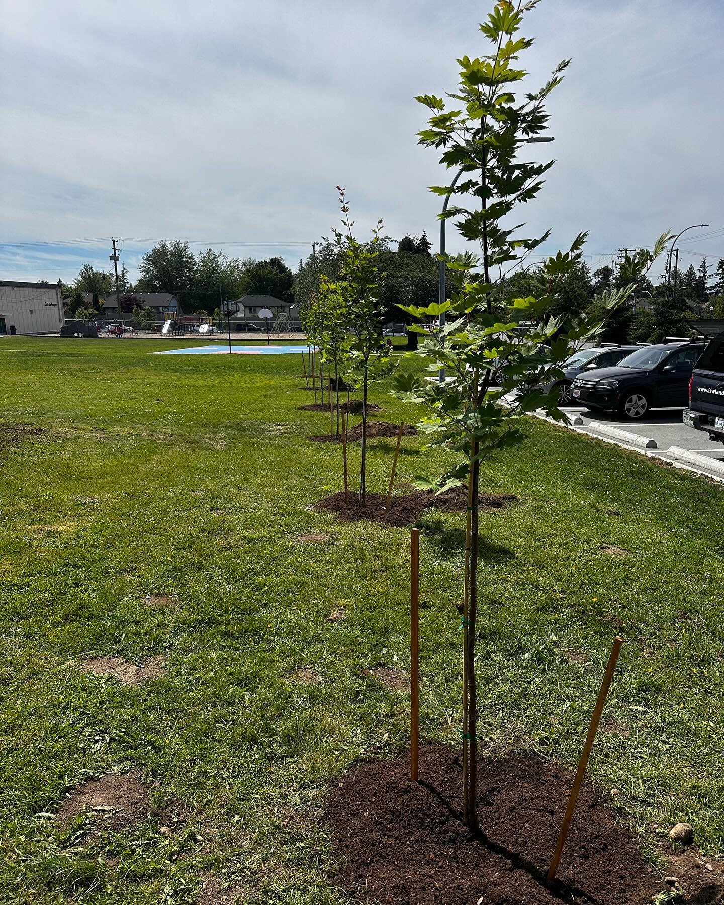 At @iswlandscapes we believe in giving back to our community. 

Today we led a school tree planting and education session for kindergarten to Grade 6/7.  Each class was shown how to plant a tree, how trees benefit us and the community and what ongoin