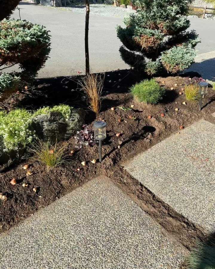 Bring life to your entranceway in late winter and spring with 600+ bulbs planted in the previous fall.

#crocus #snowdrops #tulips #allium #gardendesign #landscapedesign #springbulbs