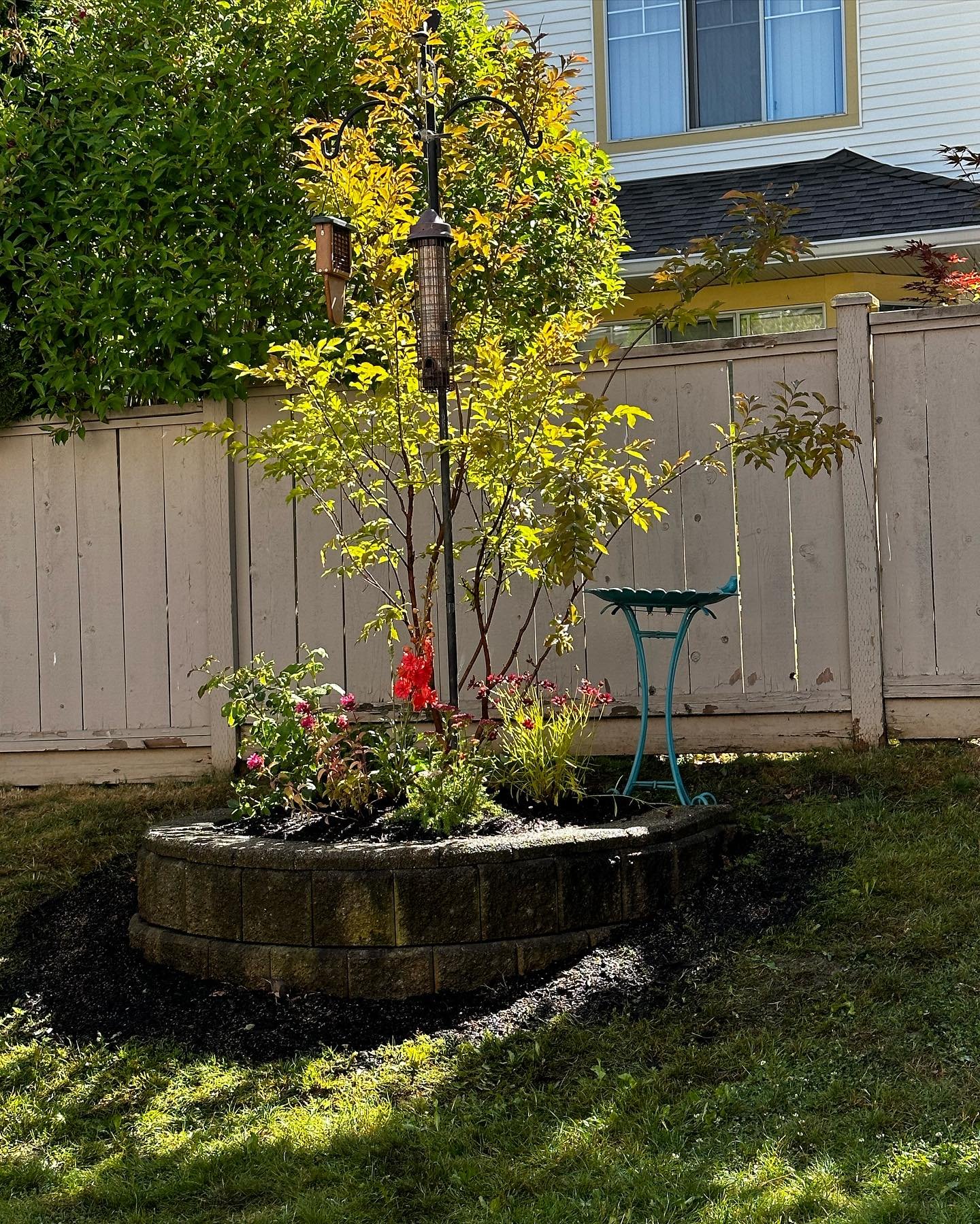 What is from what was!
It is amazing how a simple install can bring wildlife right to your back door!

#landscape #landscapedesign #garden #gardening #gardendesign #wildlife #backyardwildlife