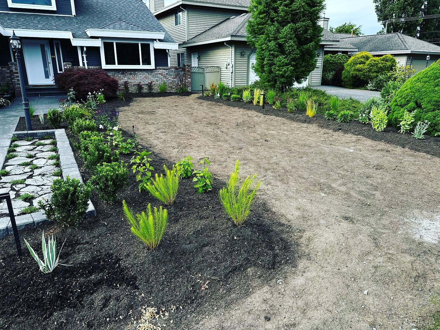 The plants have found their new home! 

There is something magical about working a space and bringing colour, height and texture variations together!

#landscapedesign #gardendesign #gardendesigner #landscapedesigner #perennials #gardening #plants