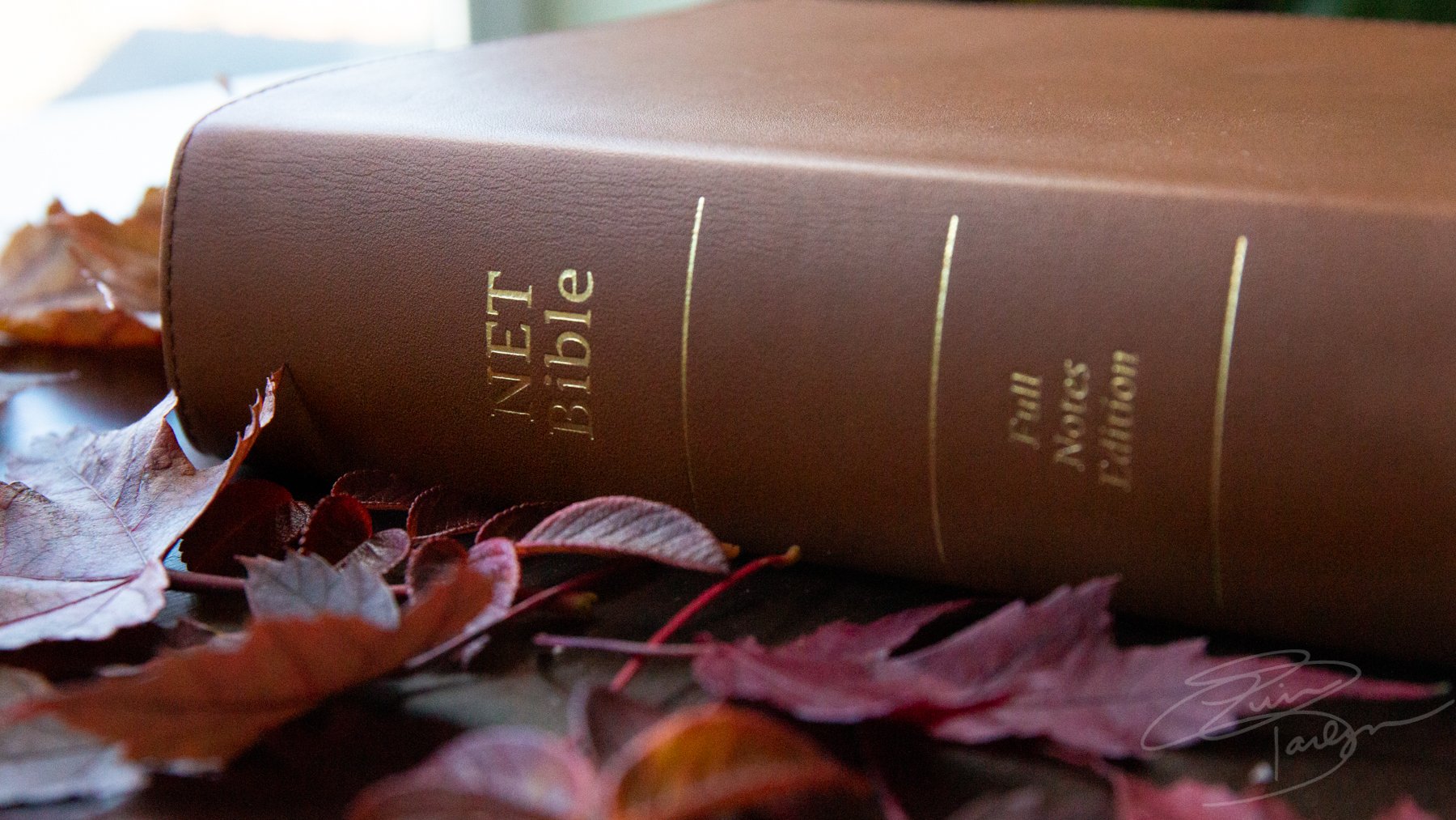 NET Bible Review Full Notes Edition, New English Translation from