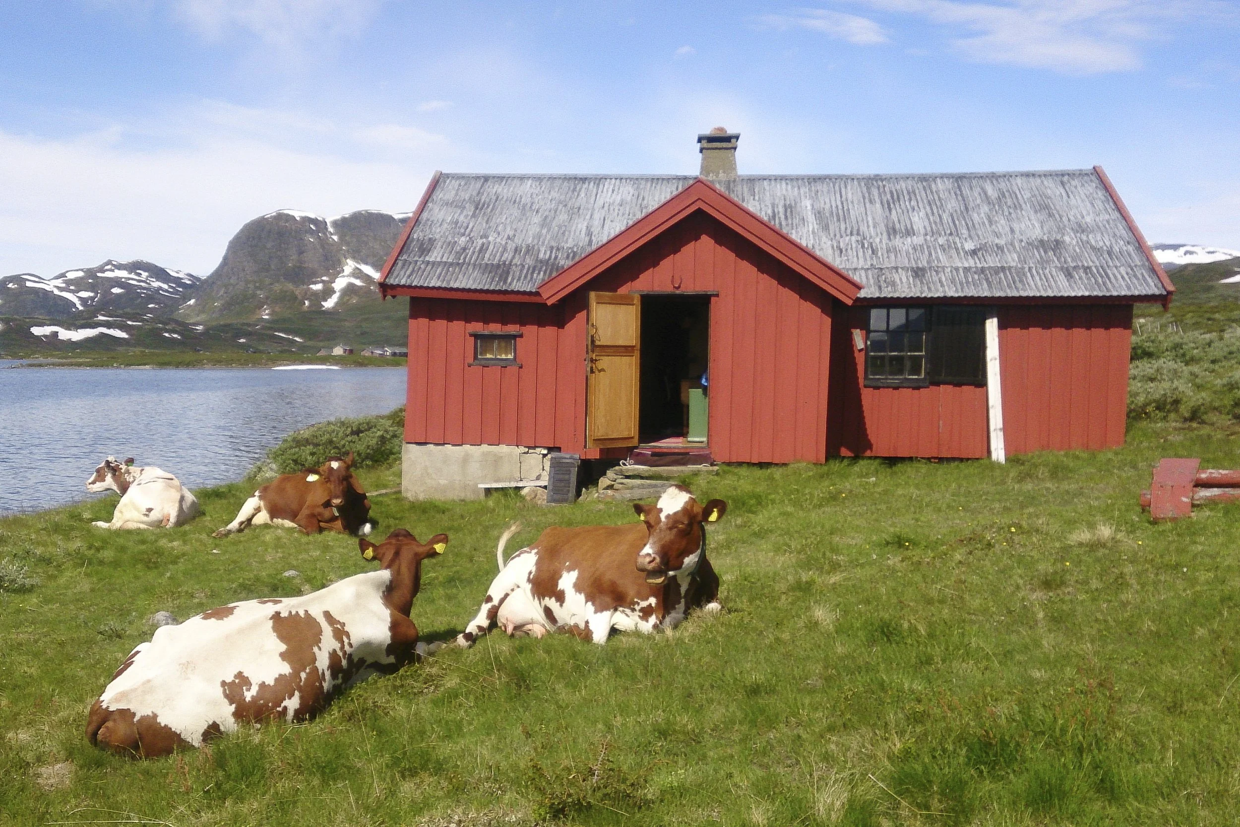 opprinnelig støl.jpg