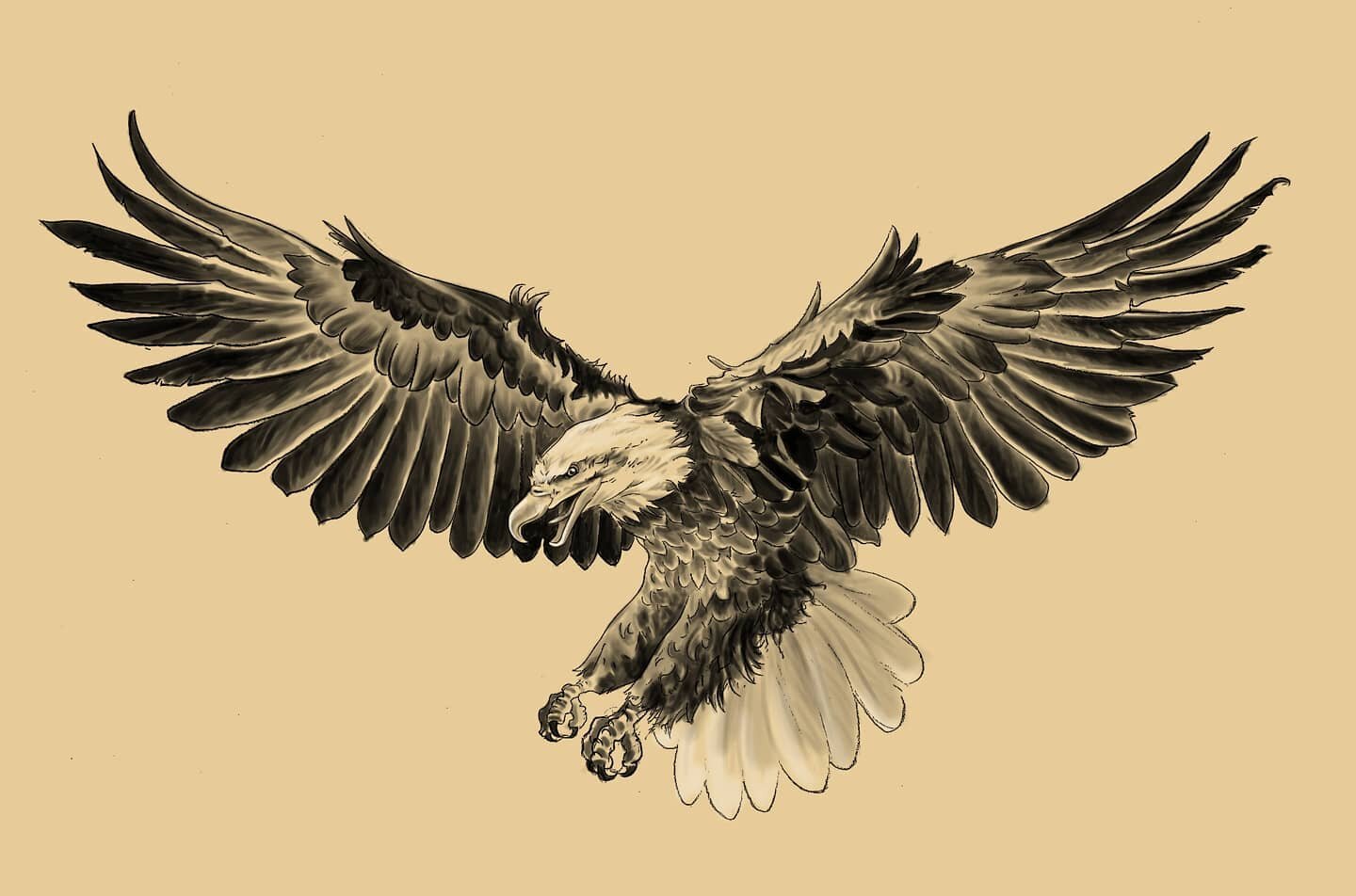 Bald eagle sketch for an upcoming tattoo.

#realistictattoo #baldeagle #blackandgreillustration #birdillustration #eaglewings #eageltattoo