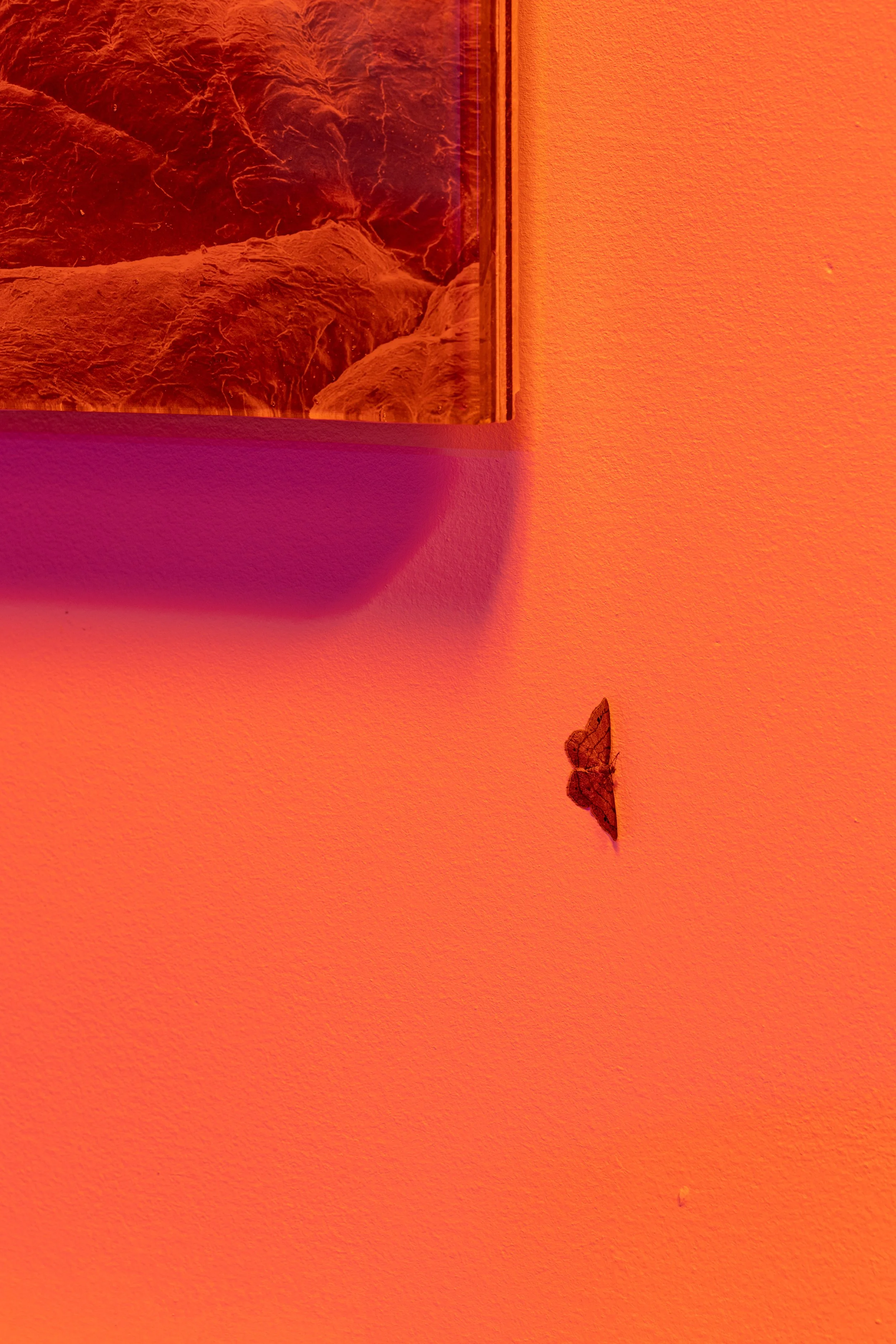 Poetics_of_Inquiry_Installation images_85mm-40.JPG