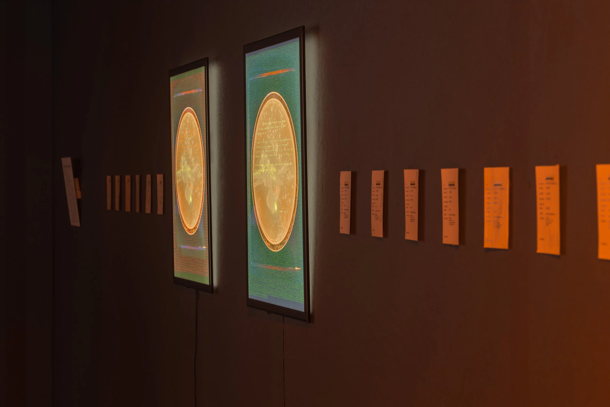 Poetics_of_Inquiry_Installation images_85mm-20.JPG