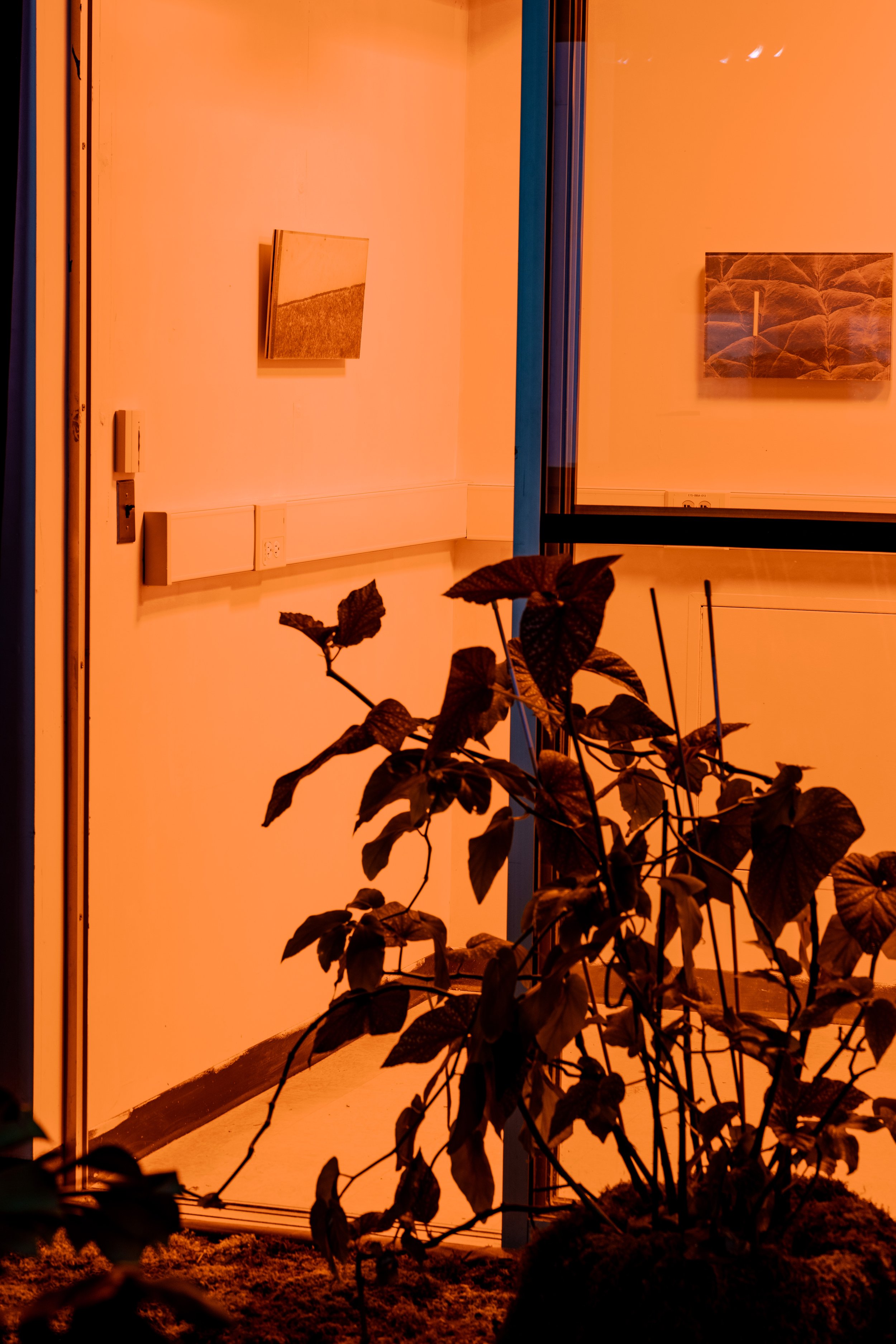 Poetics_of_Inquiry_Installation images_85mm-13.JPG