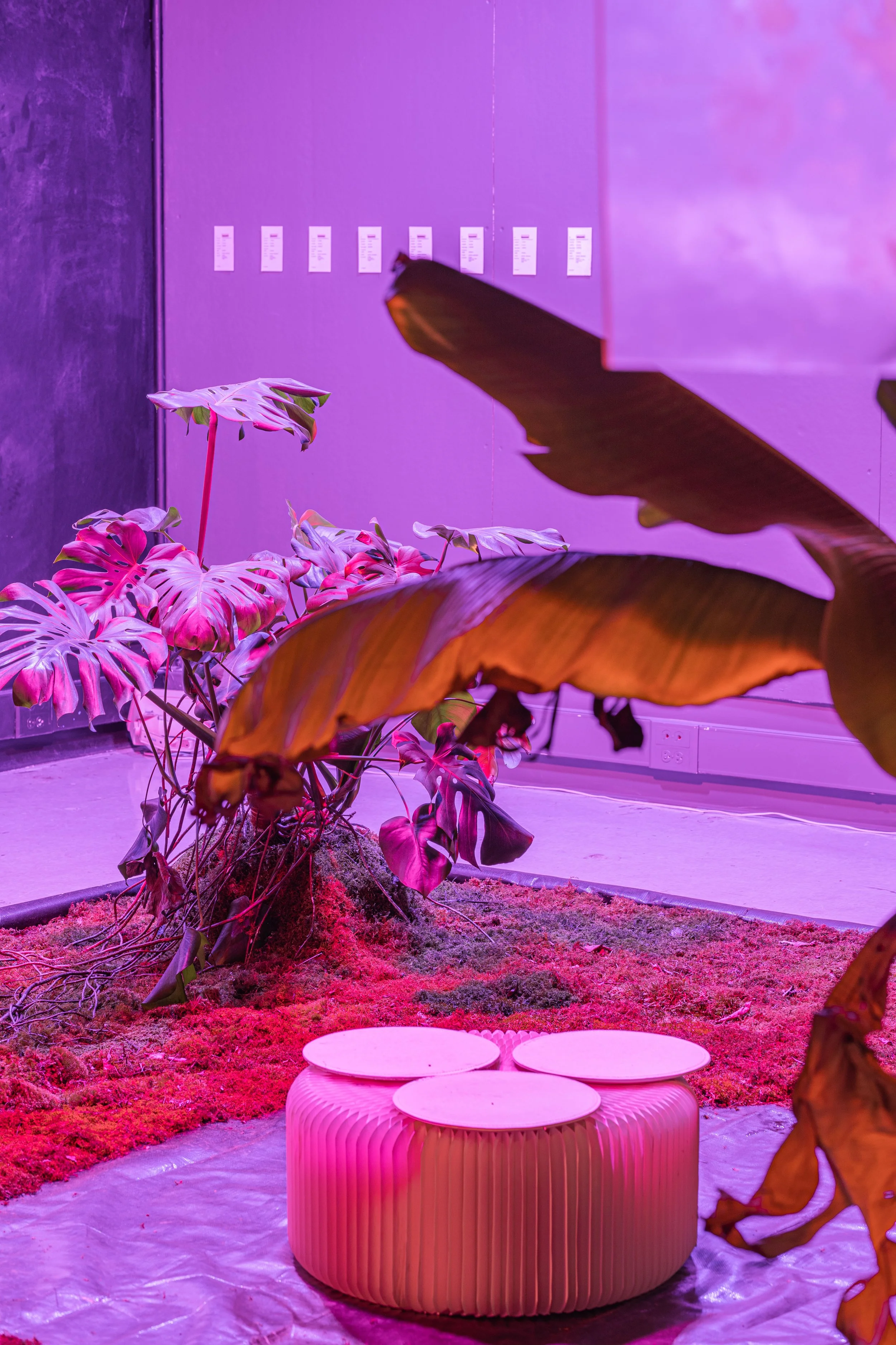 Poetics_of_Inquiry_Installation images_85mm-32.JPG