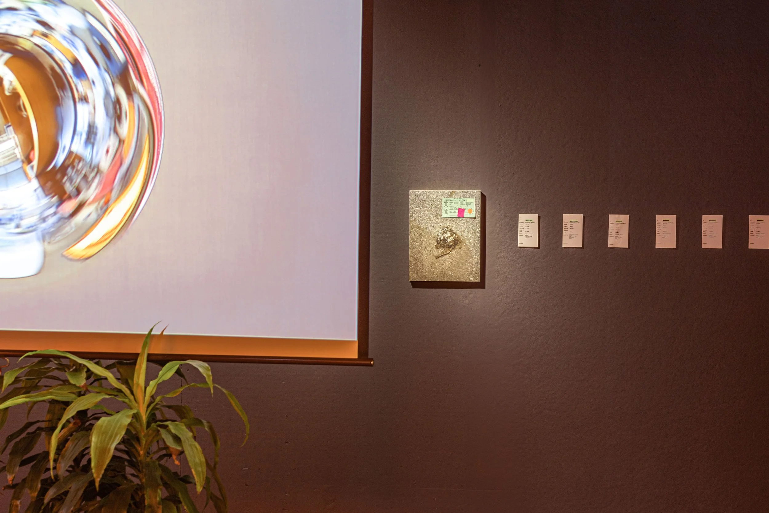 Poetics_of_Inquiry_Installation images_85mm-27.JPG