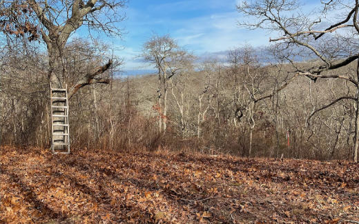 Kinship  Healing Center:  View of the land