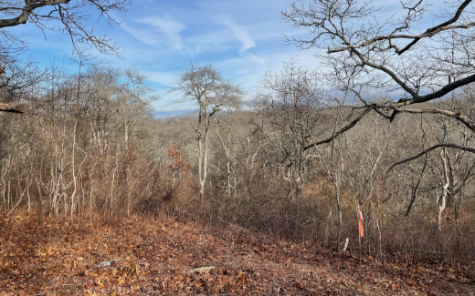 Kinship  Healing Center:  View of the land