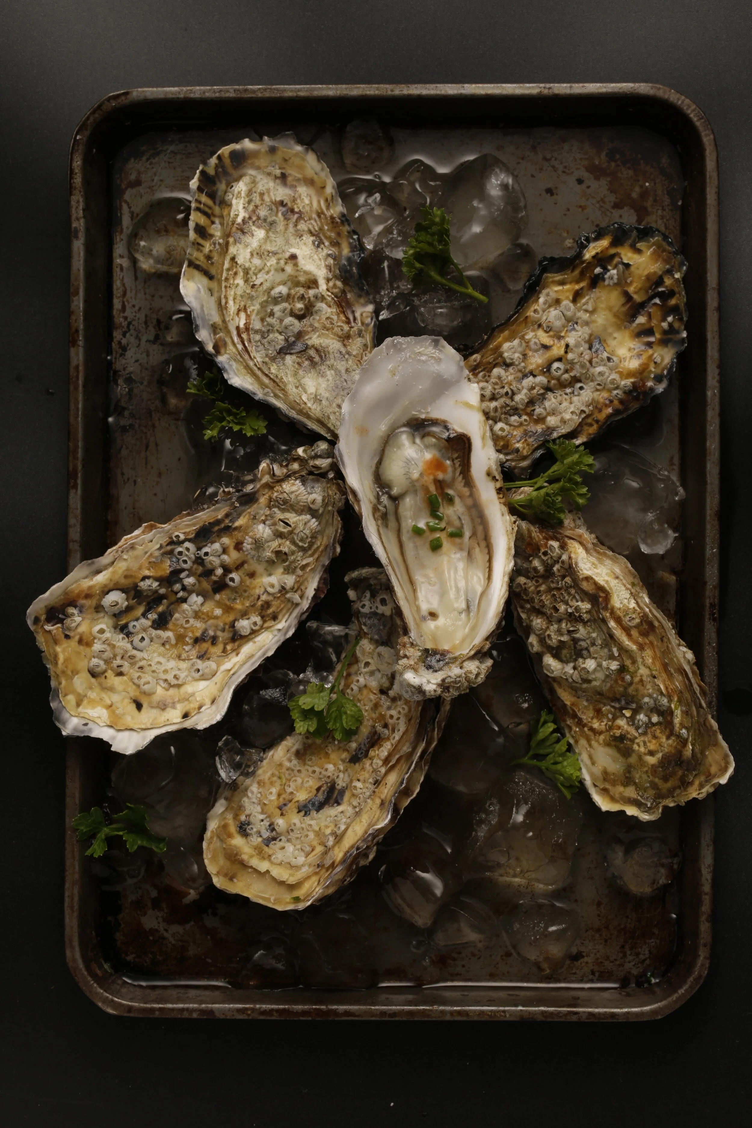 Studio Session-032-Edit.JPG