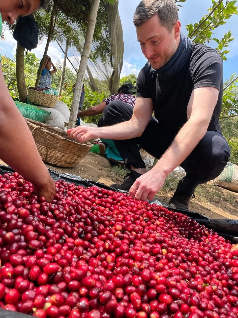 WhatsApp Image 2026-02-19 at 19.49.35.jpeg