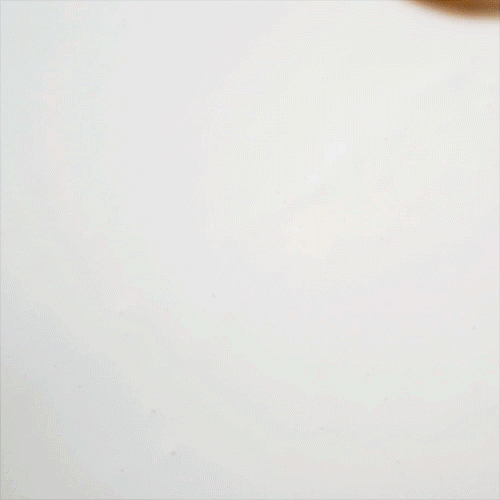 ProVref[2][1][1].gif