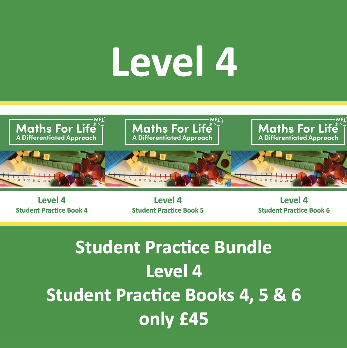 Level 4 BUNDLE 2.png