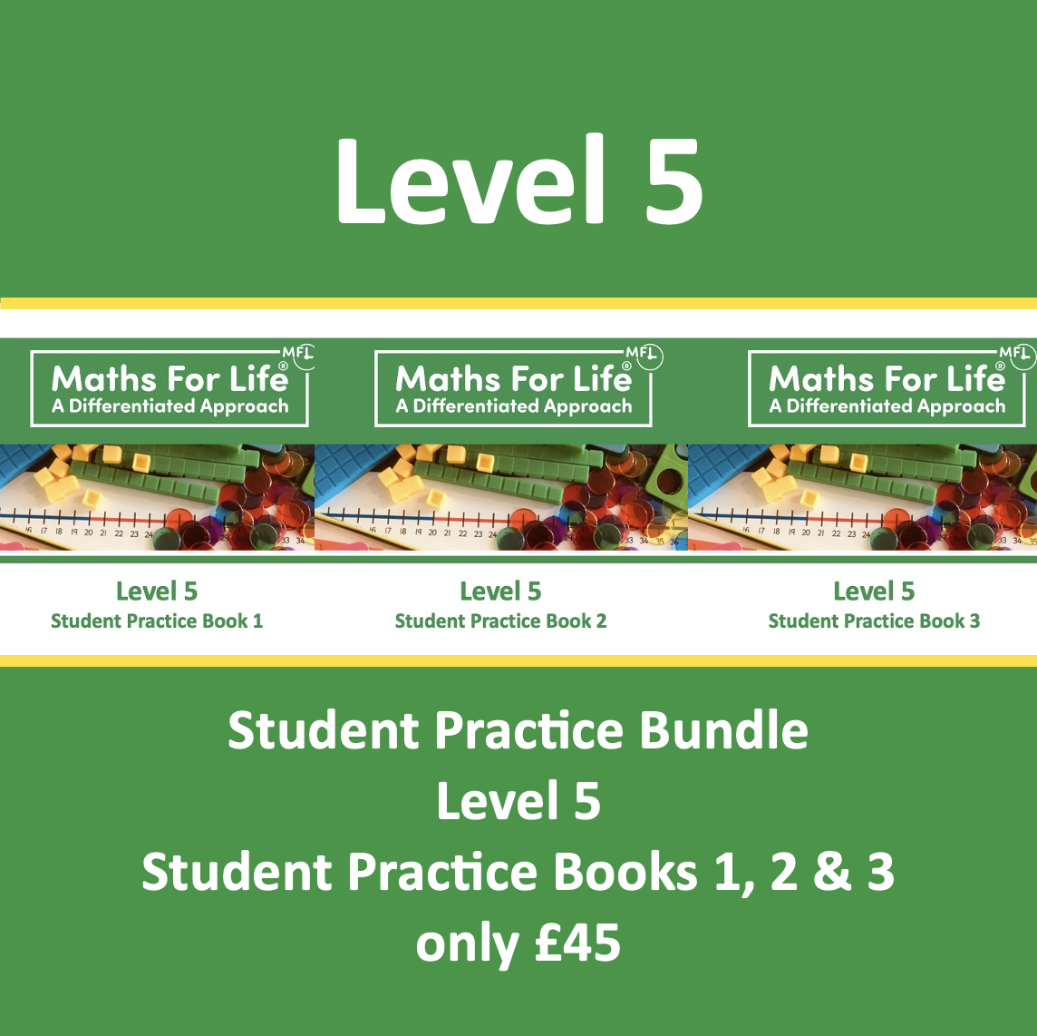 Level 5 BUNDLE 1.png