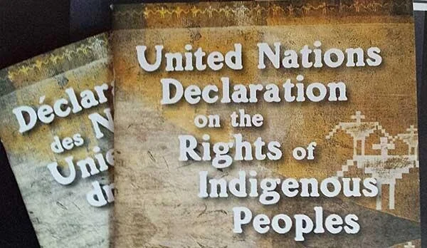 It is time: Bill C-15, the United Nations Declaration on the Rights of Indigenous Peoples Act
