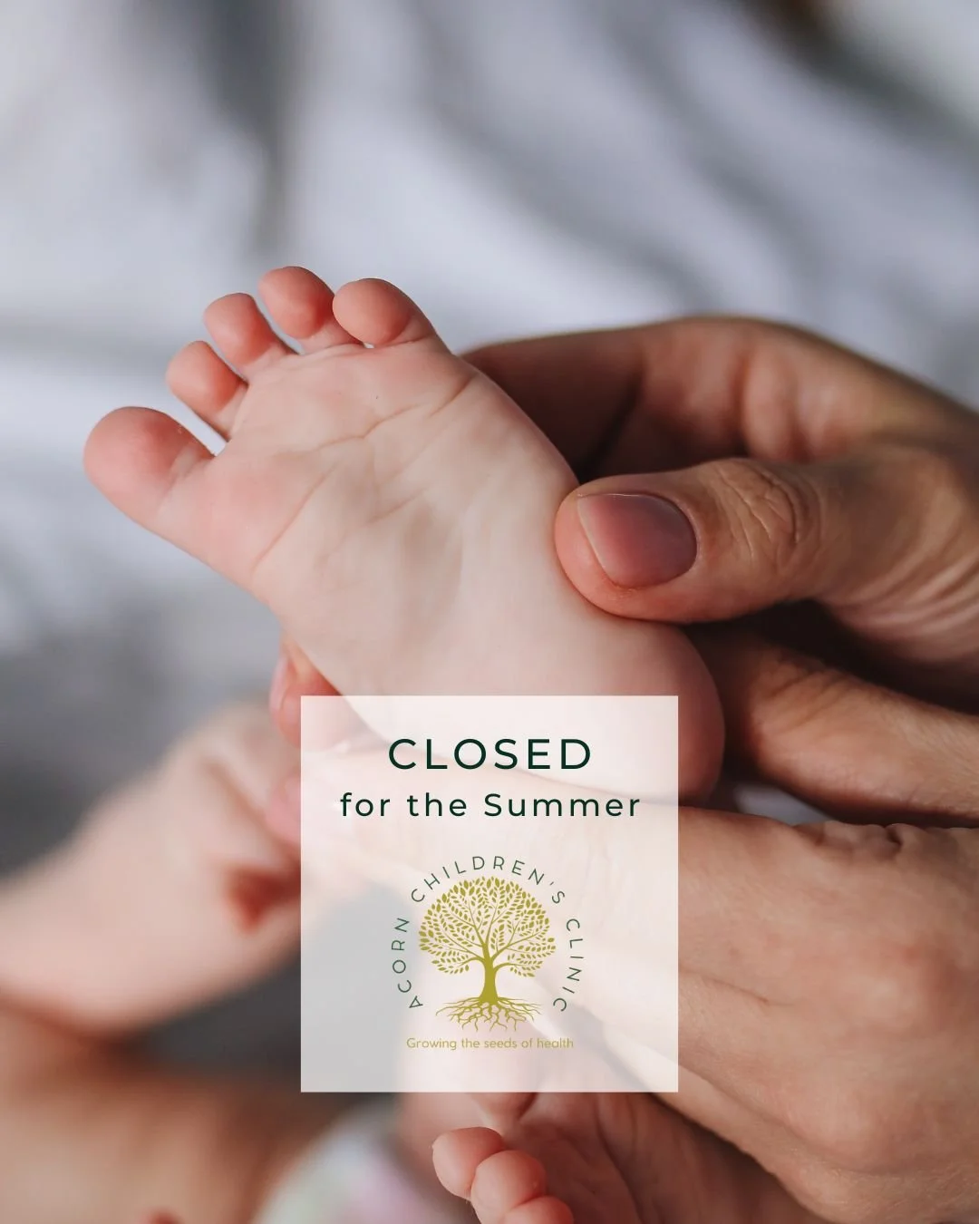 ✨ Closed for the Summer ✨

We&rsquo;ll be taking a short break in August.

💚 Need extra care over the summer? 1:1 treatments like Osteopathy and Acupuncture are still available through The Anderida Practice.

📍 Find out more and book at: www.theand