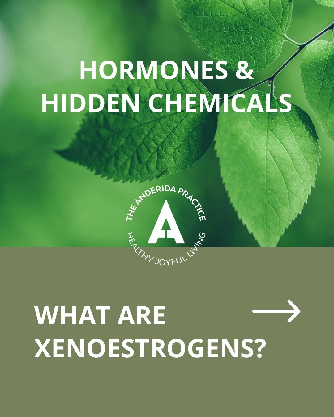 Did you know some everyday chemicals can mimic the hormone oestrogen in the body?

These substances, known as xenoestrogens, are found in many common products including plastics, cosmetics, processed foods and household cleaning products.

Because th