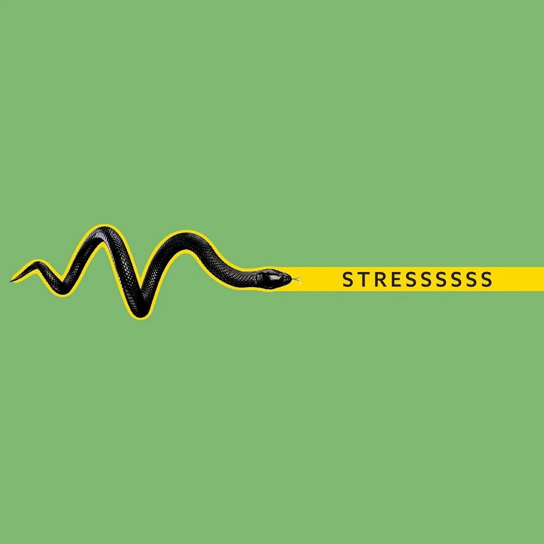 We all have our own version of and reaction to stress.

Some of us get sad, others angry. We might shut down or rage. We sweat, turn red and get diarrhea. 

We seek therapy, breath deeply, exercise and meditate to mediate our emotions because it help