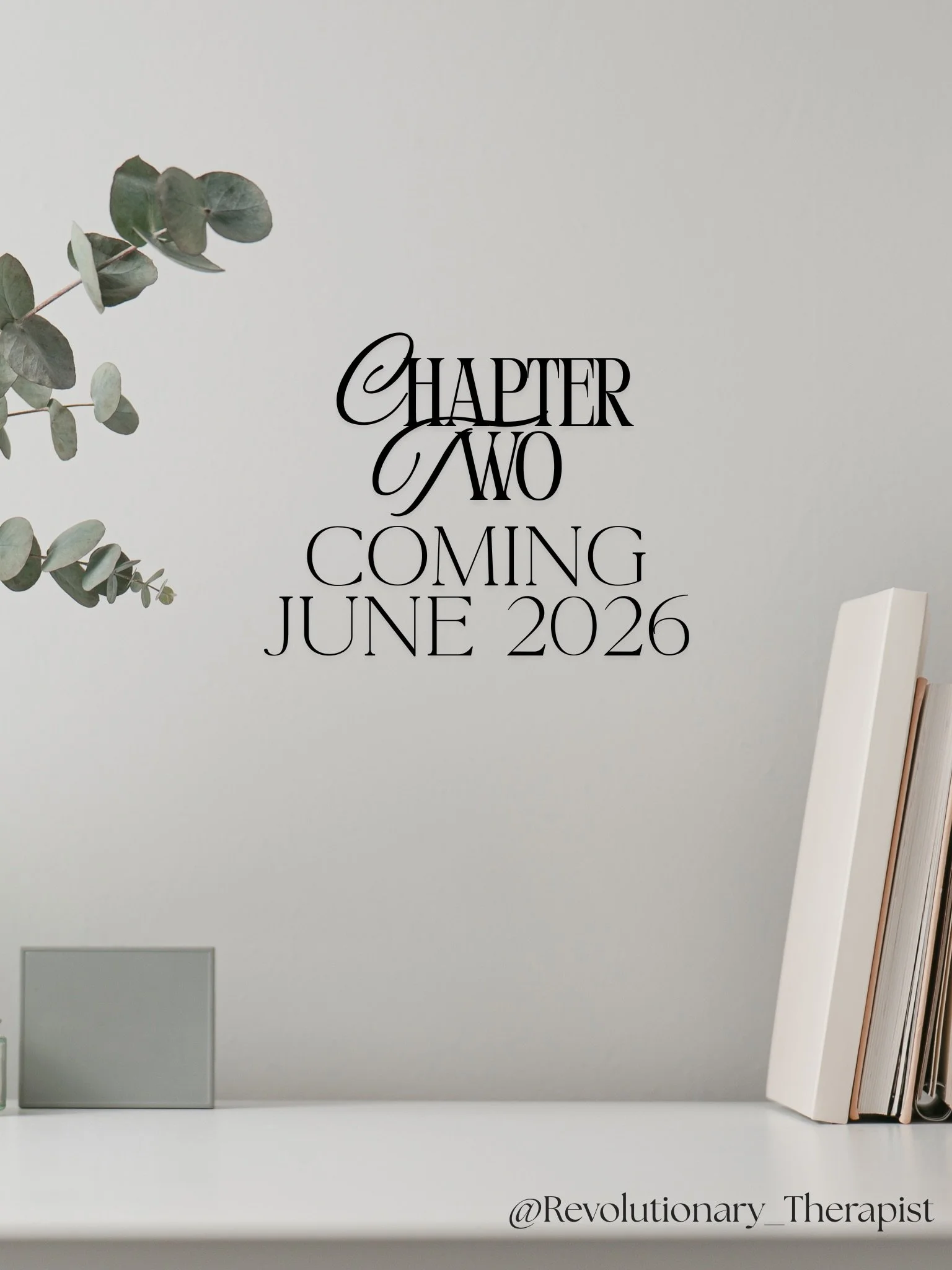 Mi Gente,

Within this reflection container the Chapter Two Pillars were created to assist and guide you in reflecting on your #divorce journey. 

These pillars provide you guidance in moving into your next Chapter. 

Interested in Chapter Two reflec
