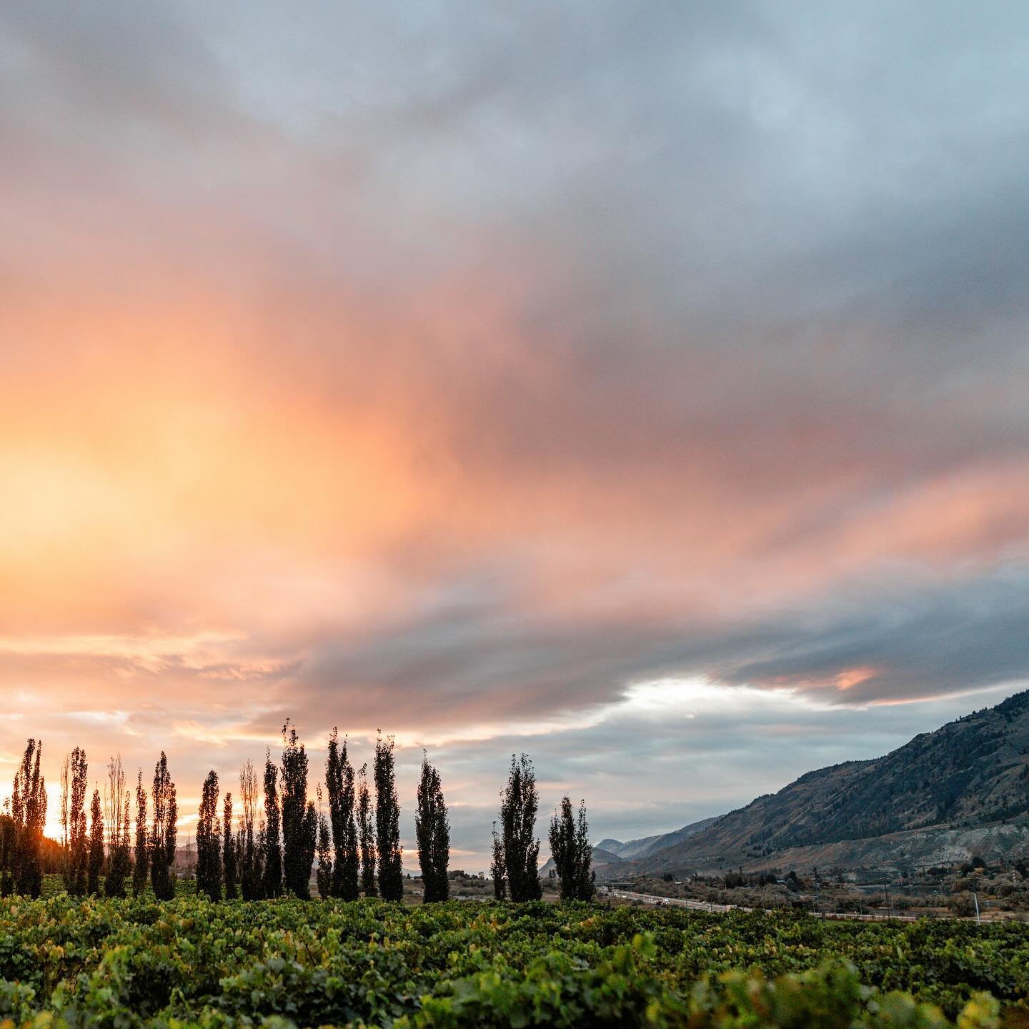 Any time back in Kamloops is a good project for me. Fun fact: I lived in Kamloops for 6 years for university, it&rsquo;s where I met my wife, and some of our best friends still live there.

@tourismkamloops 
@thompson_okanagan