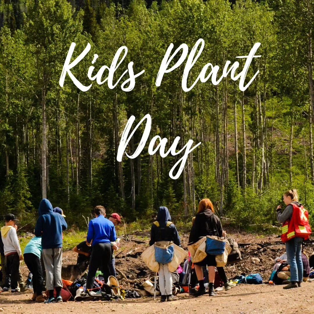 On Friday, June 16th, 2023, Wetzin&rsquo;kwa Community Forest Corporation (WCFC) held our second annual Kids Tree Planting Day! 22 brave young grade 6 and 7 students from Muheim Elementary School ventured into the Community Forest to learn how to pla