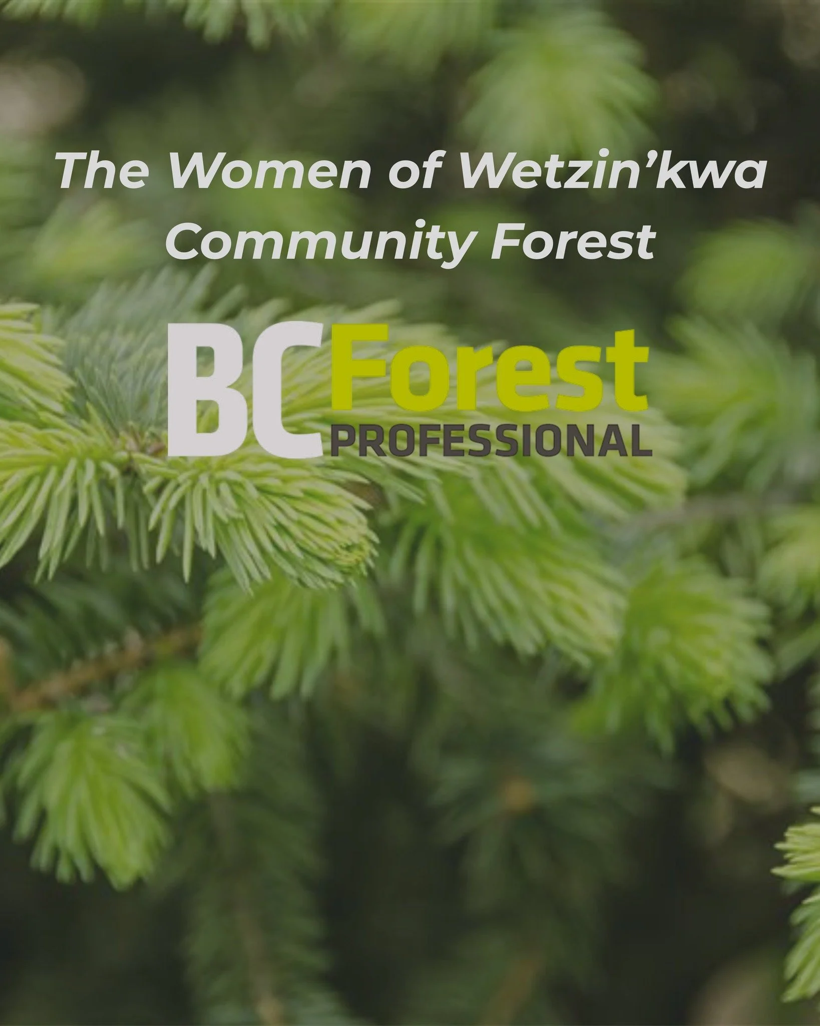 The Women of Wetzin’kwa are featured in Forest Professionals BC