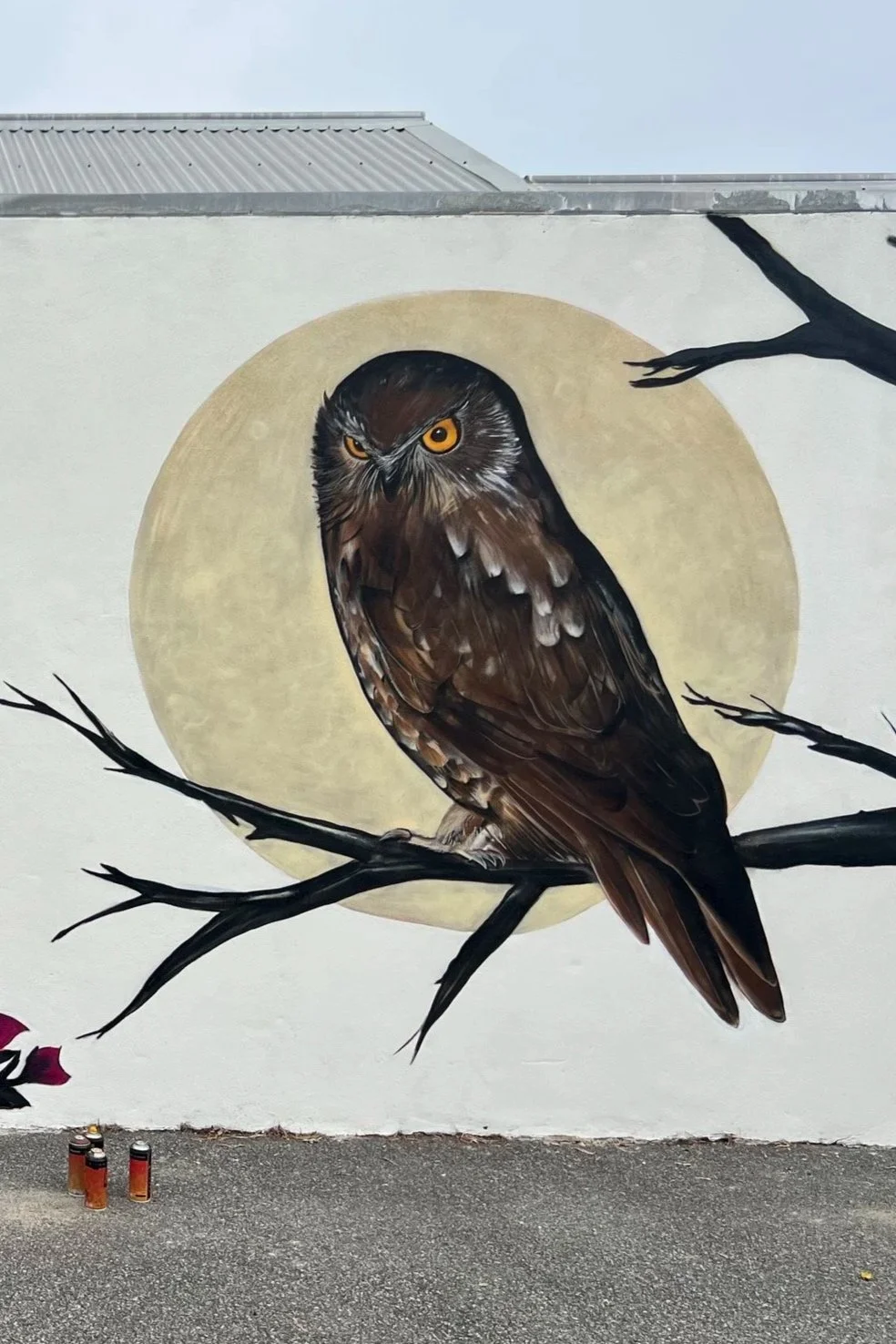 Boobook Owl Mural
