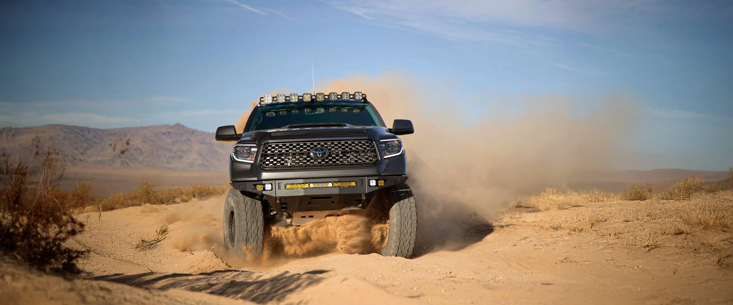 IMG_5243 extended.jpg