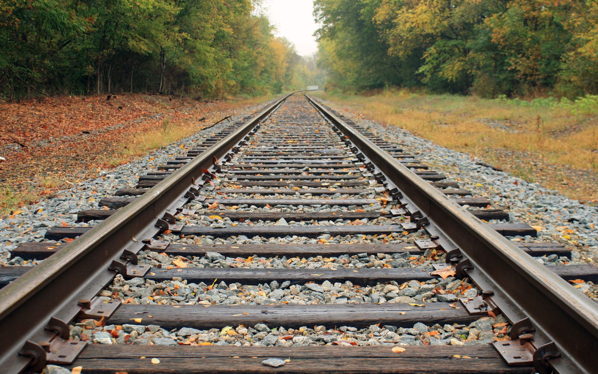 When Life Changes, Your Wealth Stays on Track