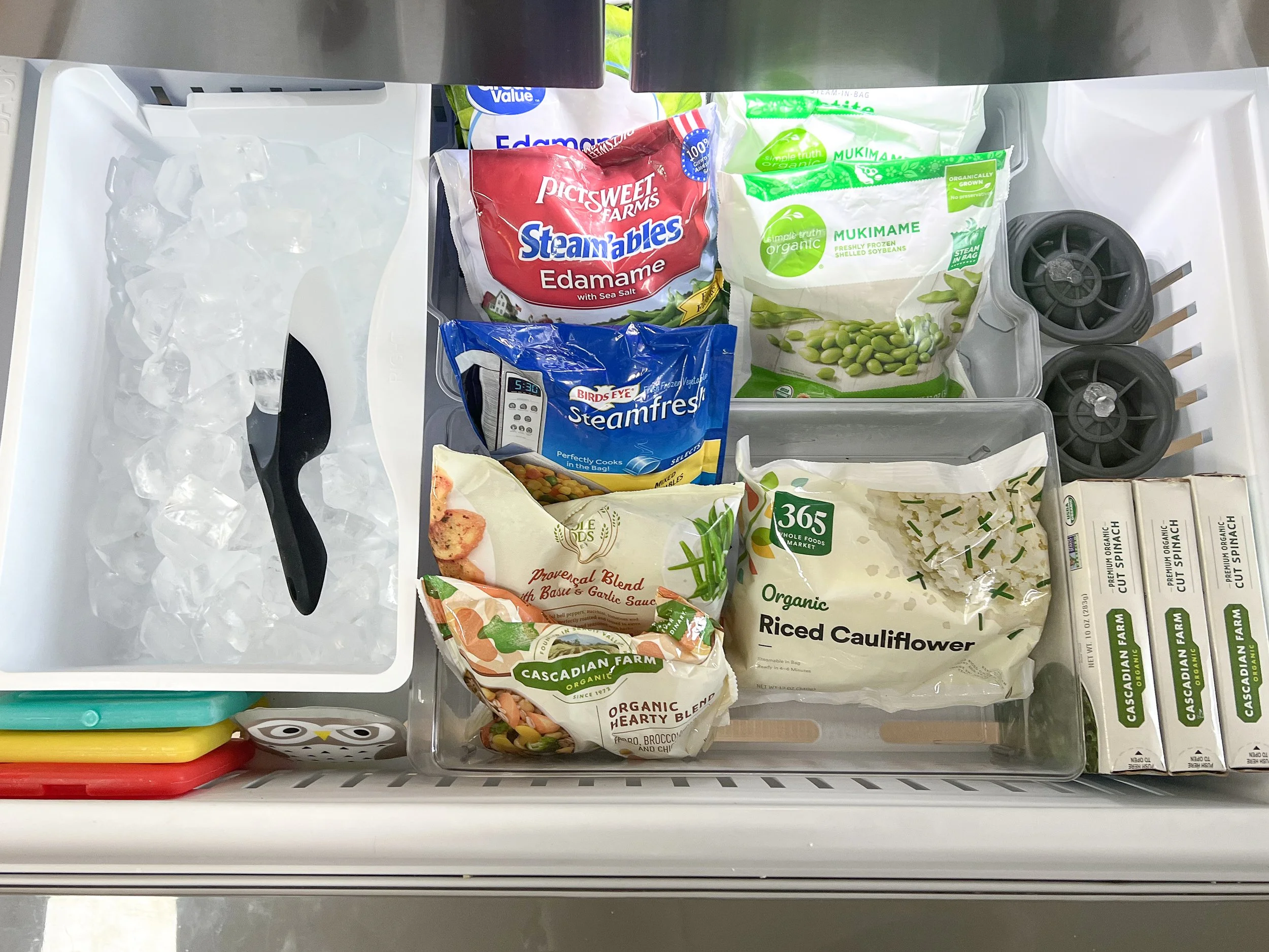 Freezer Organization