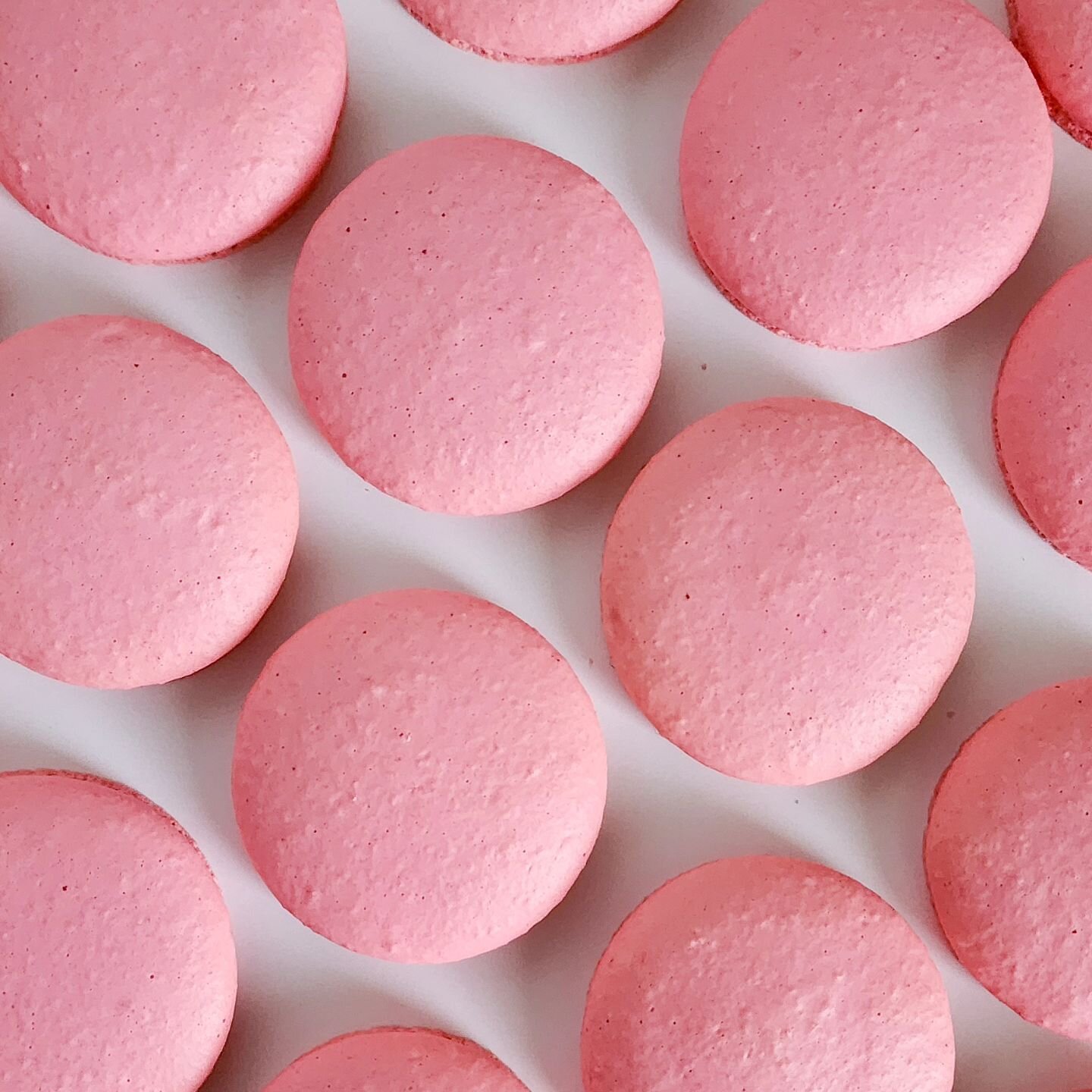 Busy over here getting these pretty pink macarons ready for this Sunday! Come by @twelve.percent.beer.project
And support all the wonderful women owned businesses the @frontporchbrewing has brought together! 

💖 3/24...this Sunday!
💕 341 State St. 