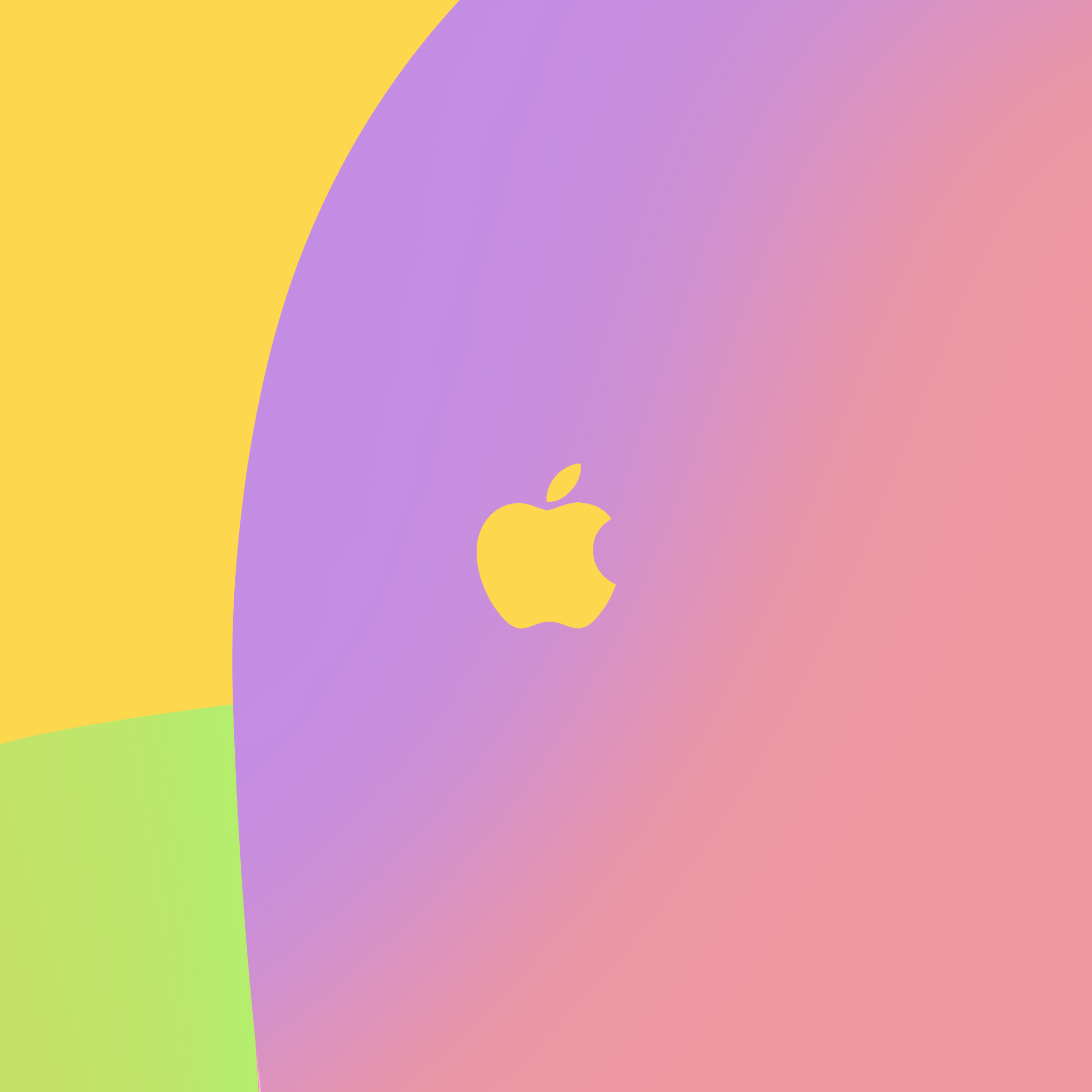 Second Careers | Branding