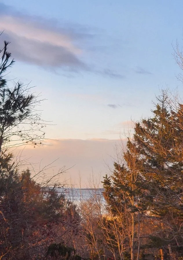 “A few minutes after dawn 2-4-26” Aviva Rahmani